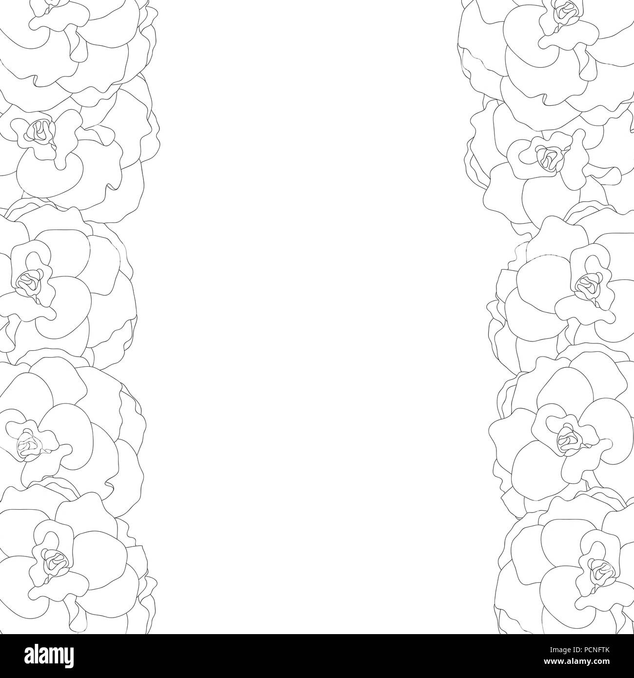 Begonia Flower, Picotee Outline Border. Vector Illustration. Stock Vector