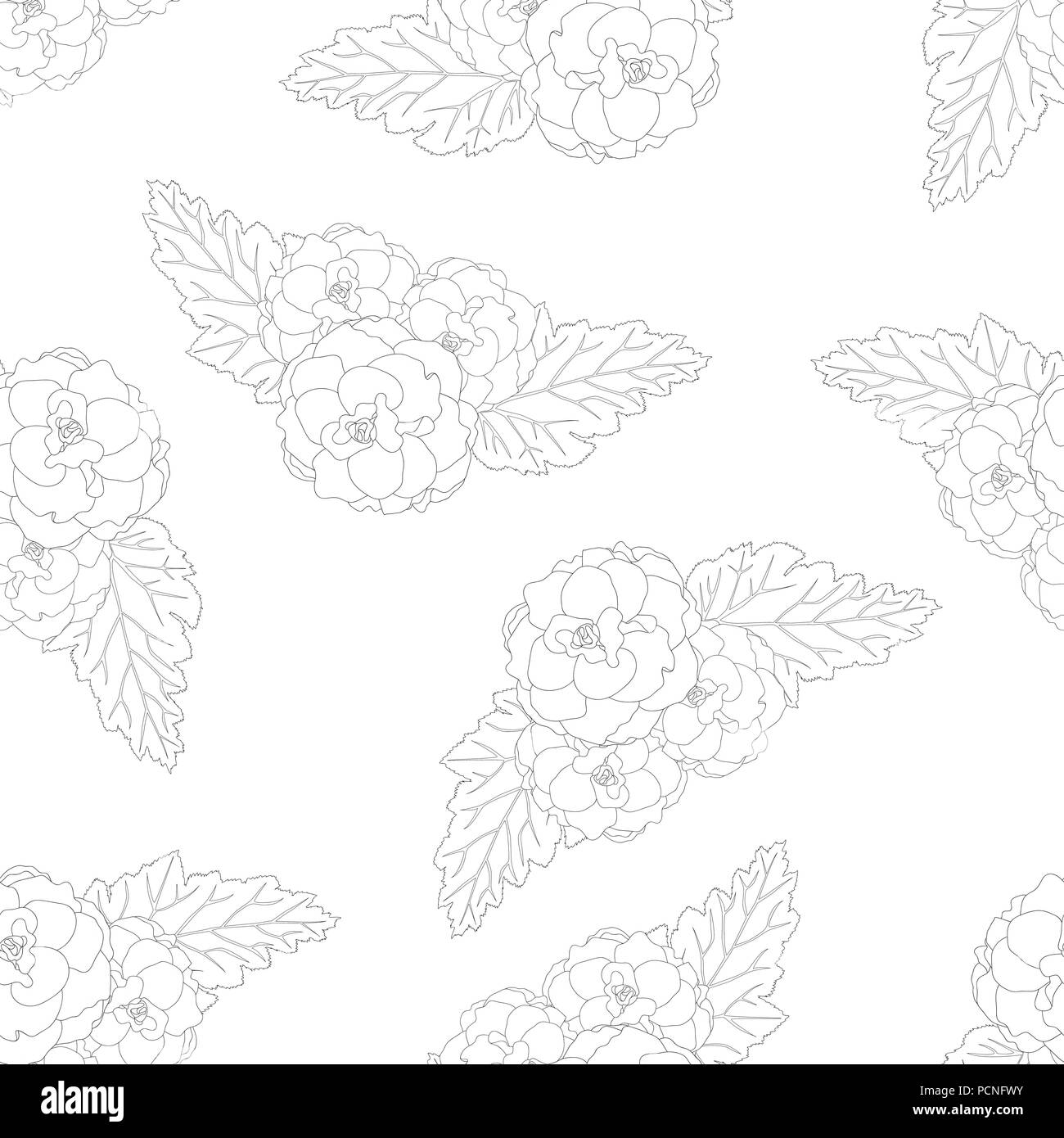 Begonia Flower, Picotee Outline Seamless Background. Vector Illustration. Stock Vector