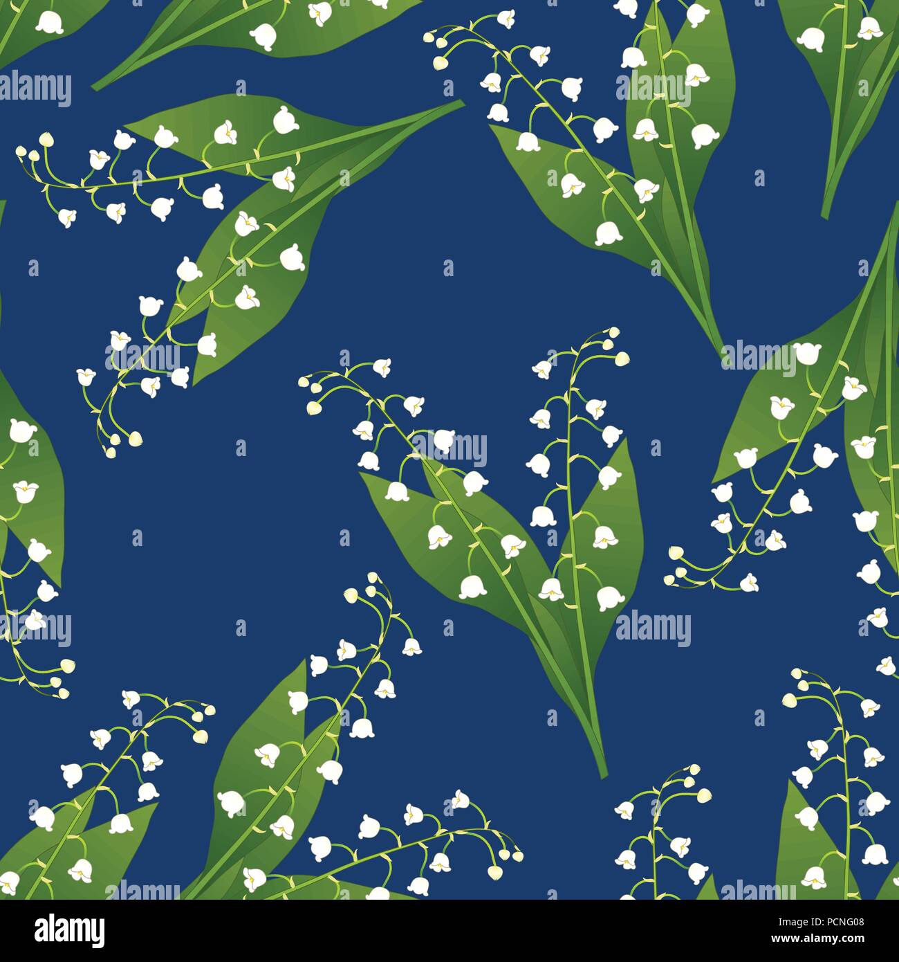 White Lily of the Valley on Navy Blue Background. Vector Illustration