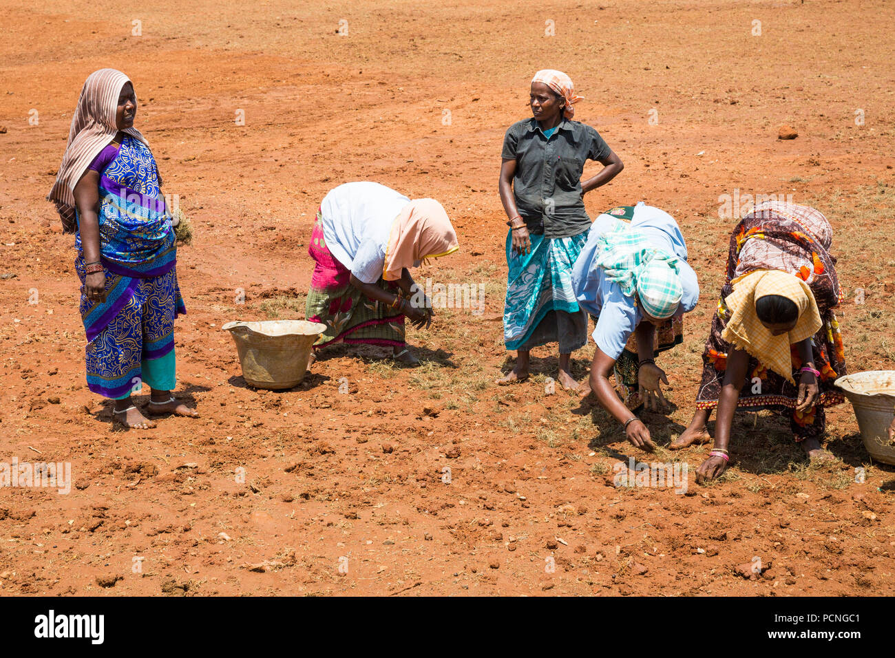 Tamilnadu Farmers High Resolution Stock Photography and Images - Alamy