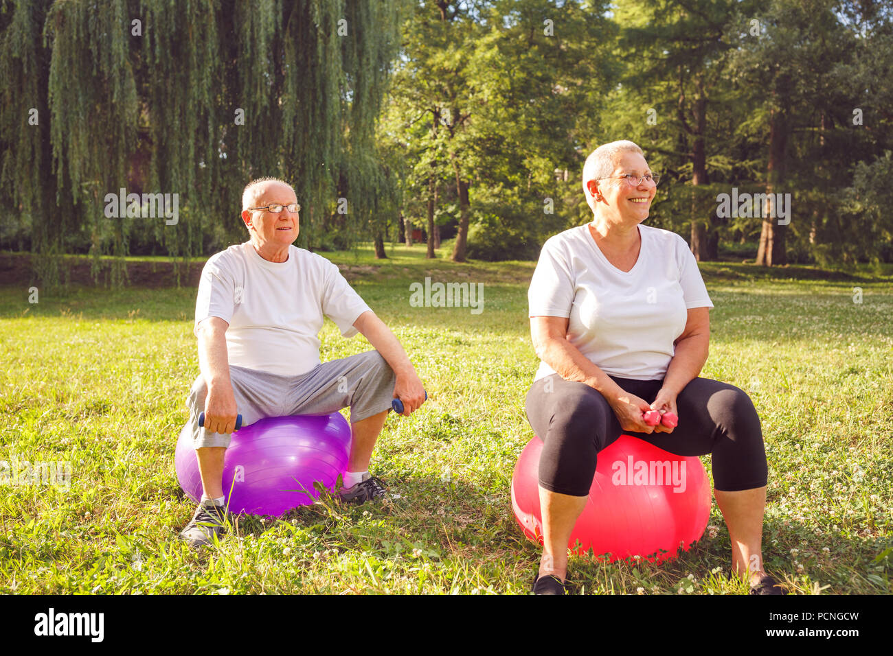 Smiling pensioner couple doing fitness exercises on fitness ball in park Stock Photo