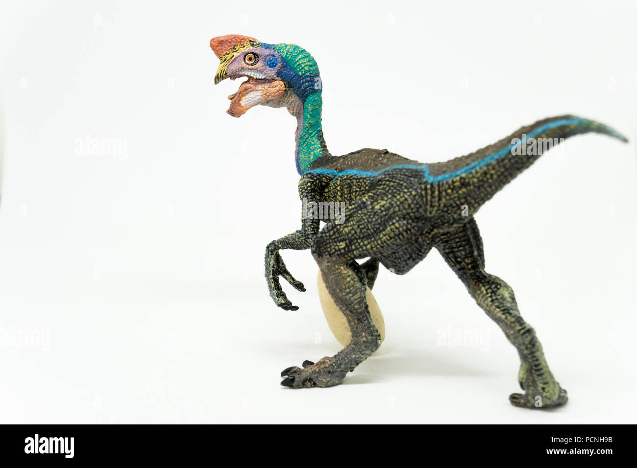 Oviraptor on white background Stock Photo