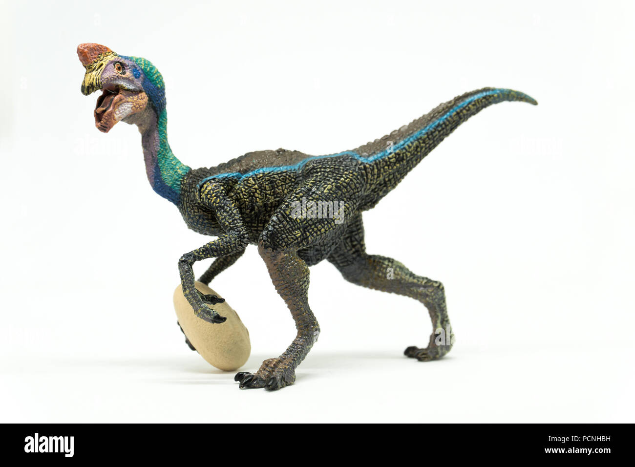 Oviraptor on white background Stock Photo
