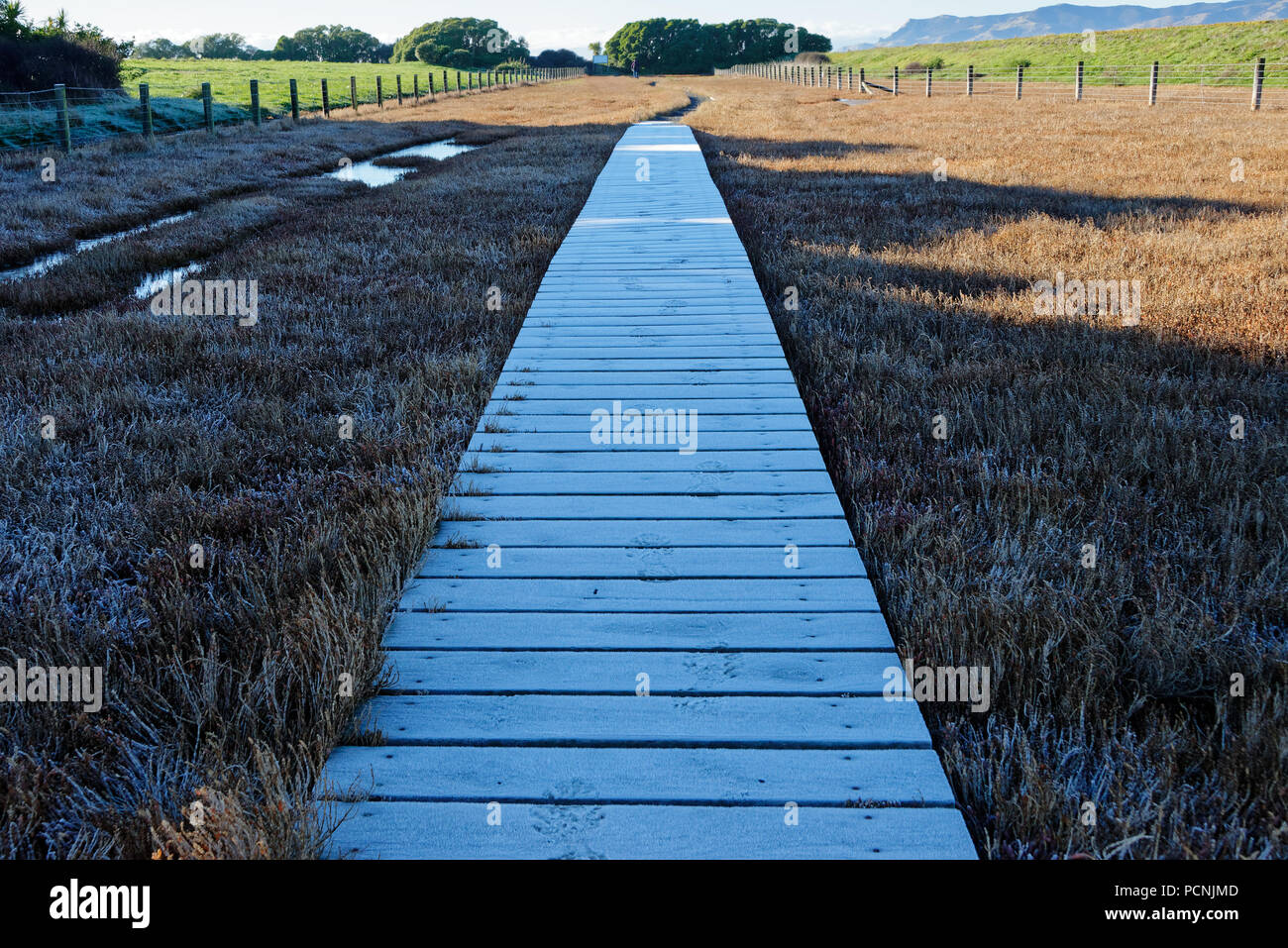 An early morning frost covers a boardwalk, with only one set of boot prints crossing it Stock Photo