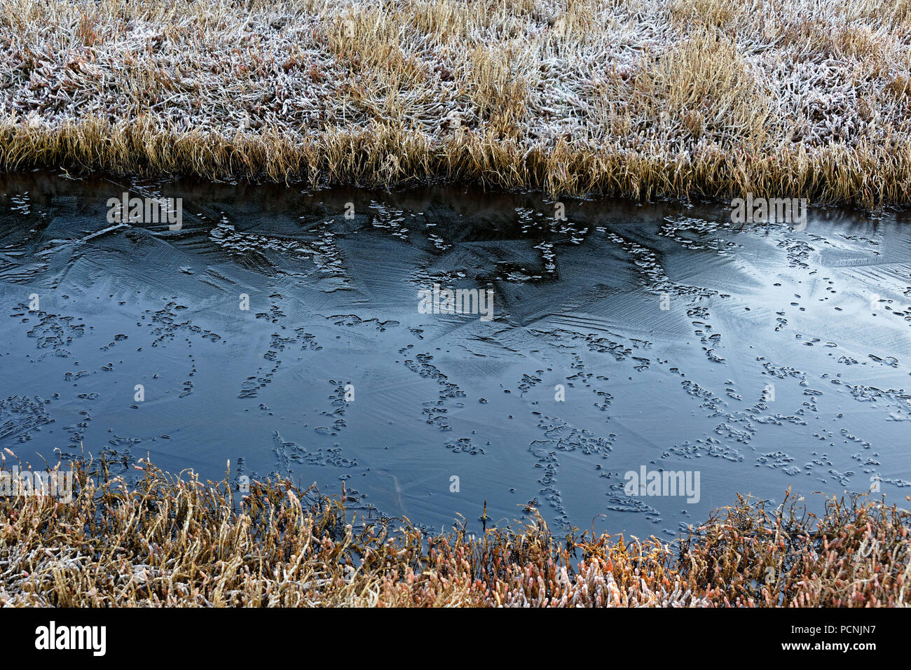 Scenic pathway runs through hi res stock photography and images Alamy