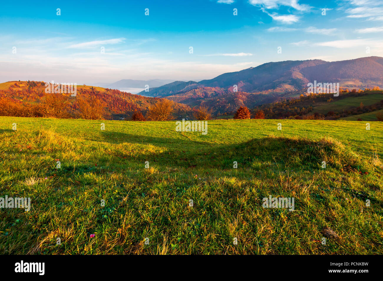 grassy meadow on hill side at sunrise in autumn. beautiful mountainous landscape with distant valley in fog Stock Photo