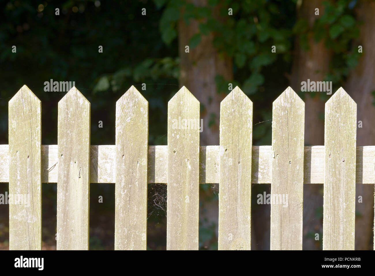 Wooden boundary fence hi-res stock photography and images - Alamy