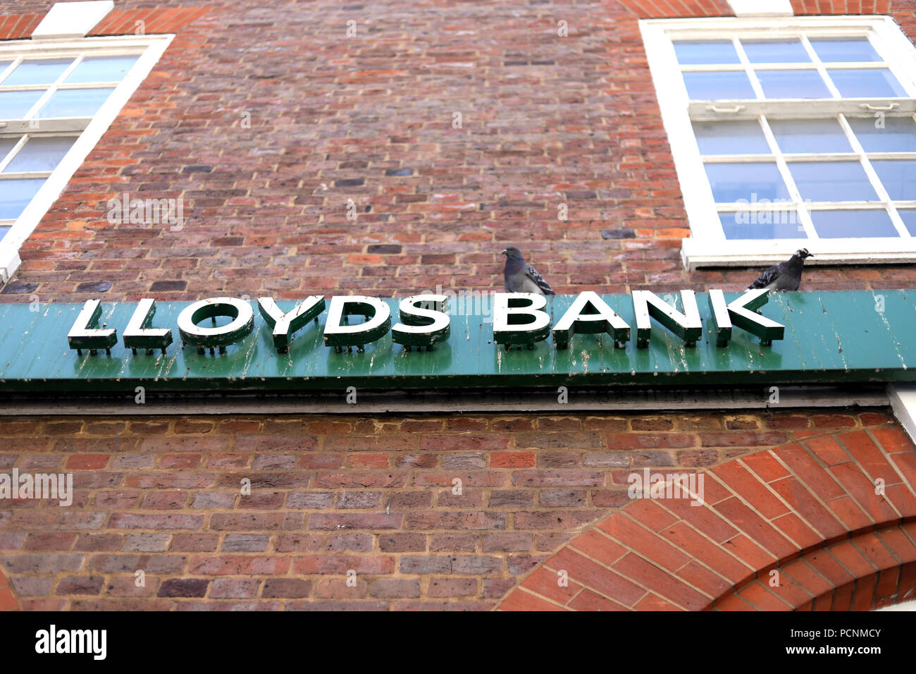Lloyds Bank local branch in Muswell Hill Stock Photo