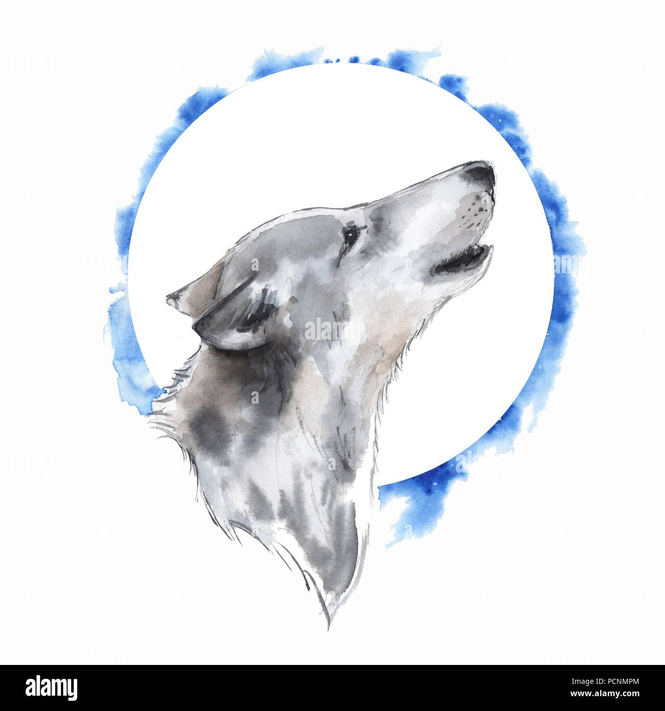 Wolf . Watercolor illustration. Blue background Stock Photo