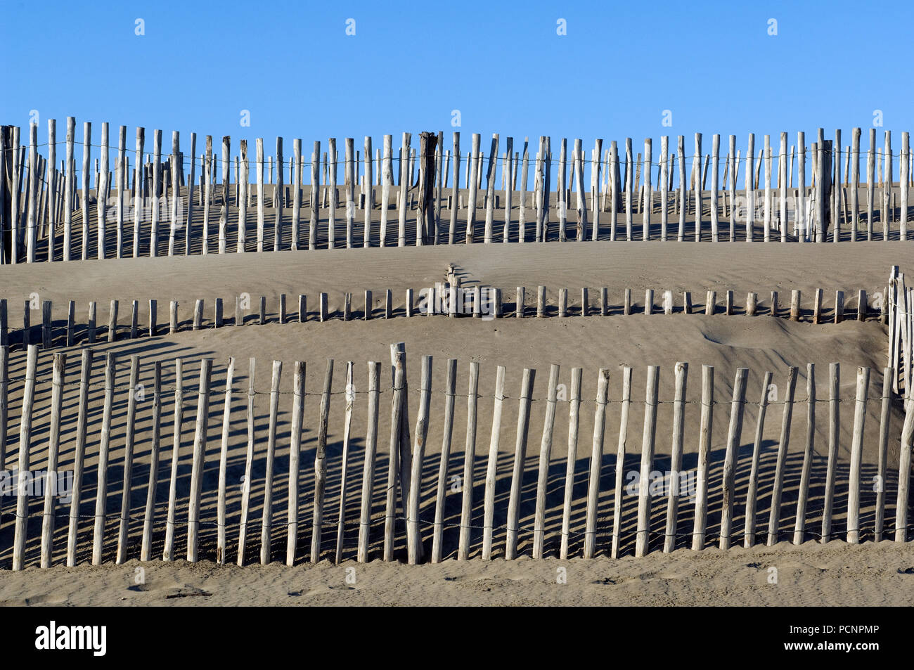 Piquets pour stabiliser les dunes - Camargue - Sand stabilisation Stock Photo