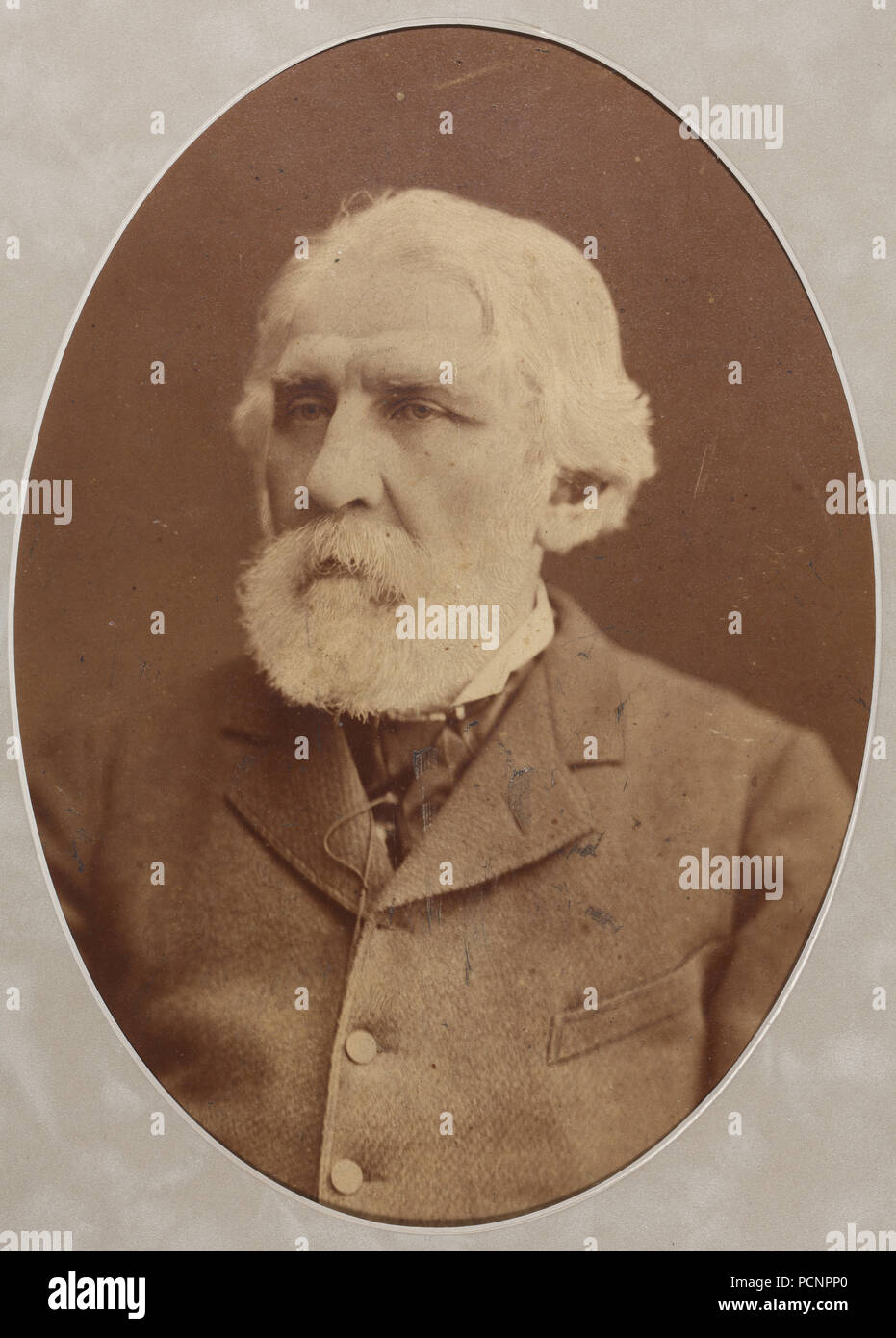 Portrait of the author Ivan Sergeyevich Turgenev (1818-1883), 1879. Stock Photo