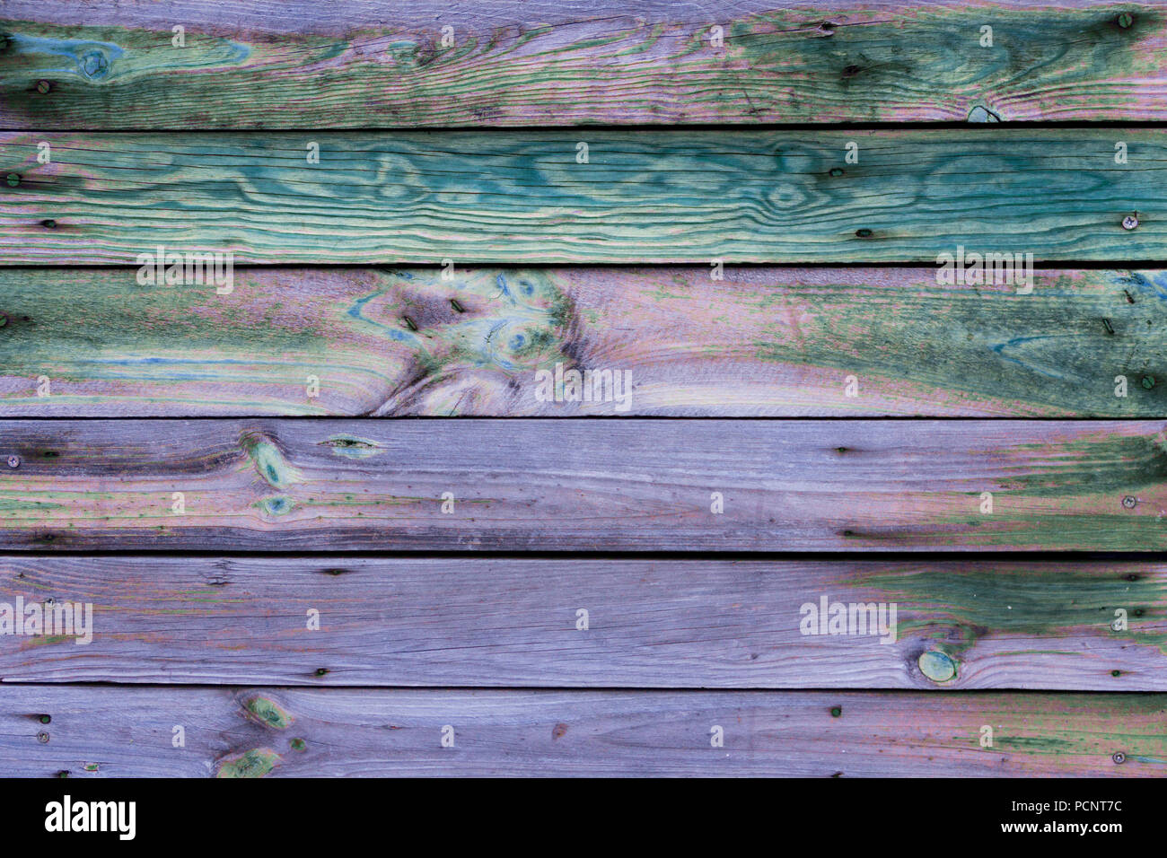 Close-up of the multicolor surface (wall, floor or overhead) made of wooden plank, panel or board in the purple, turquoise, blue, pink, green shades Stock Photo