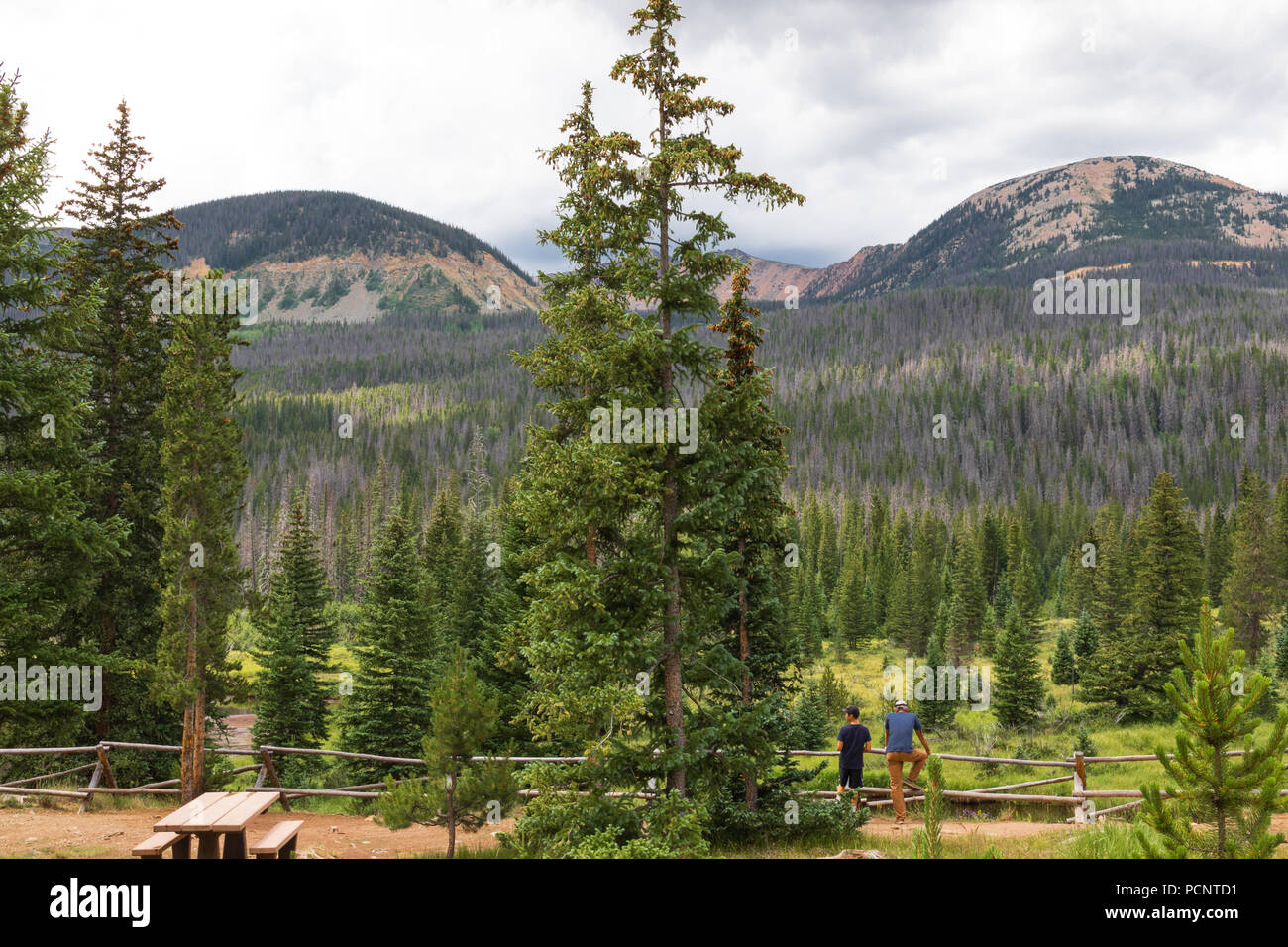 ROCKY MOUNTAIN NATIONAL PARK, CO-17 JULY 18:  Two males, possibly father and son, at rail fence, looking at evergreen scenery, with rocky mountains ho Stock Photo