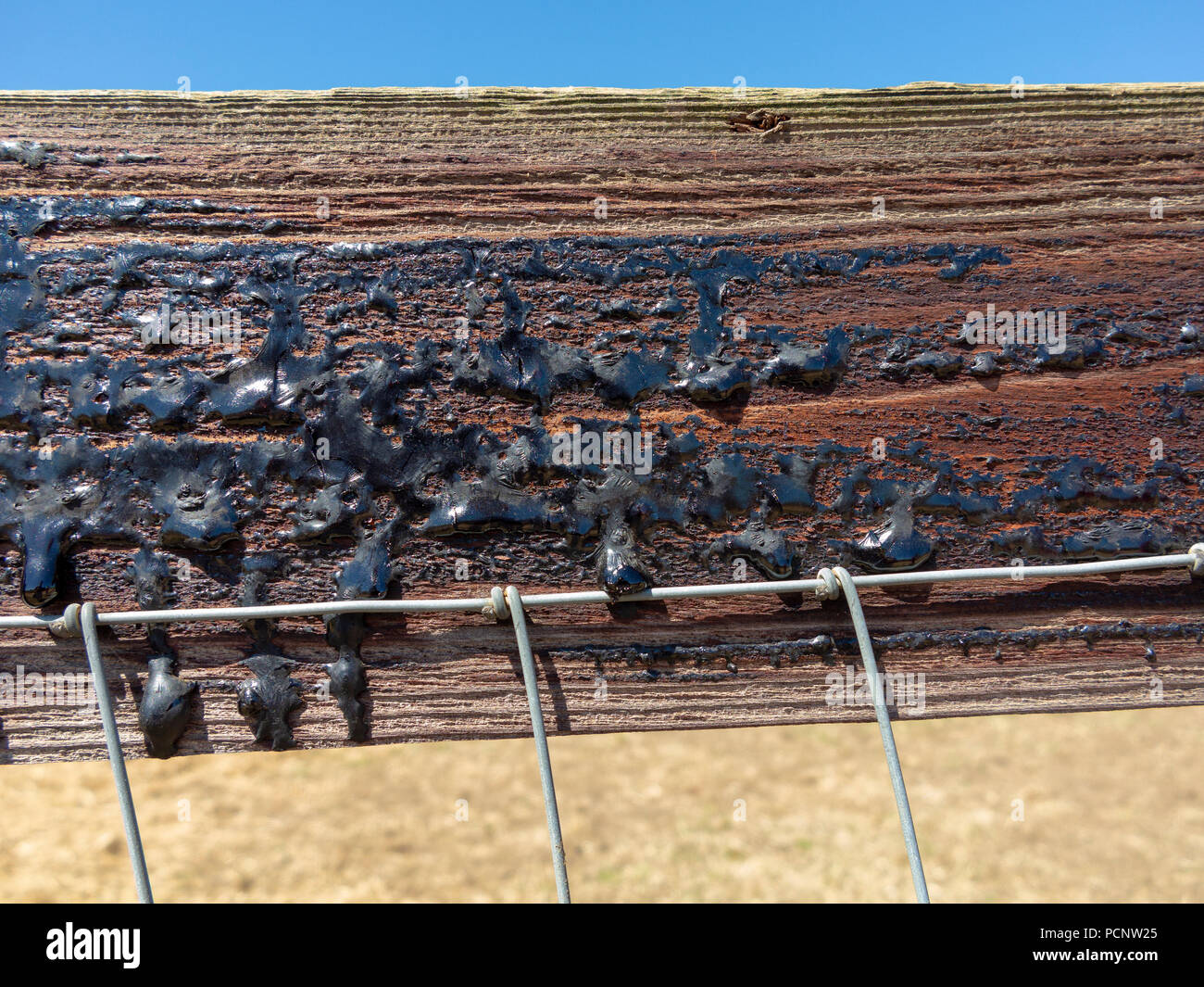 Close up of bitumen coated fence panel with the hot sun melting the material and it has started to run down the wood Stock Photo