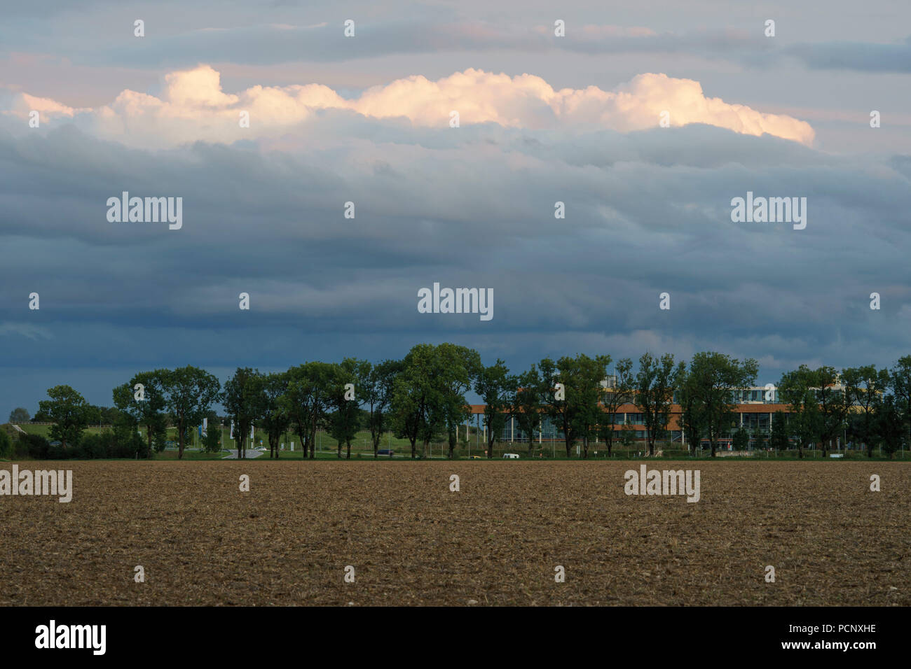 Trees over bright green hi-res stock photography and images - Alamy