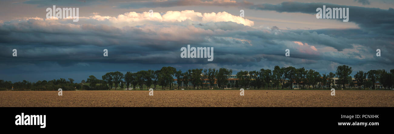 Storm clouds over trees Stock Photo - Alamy