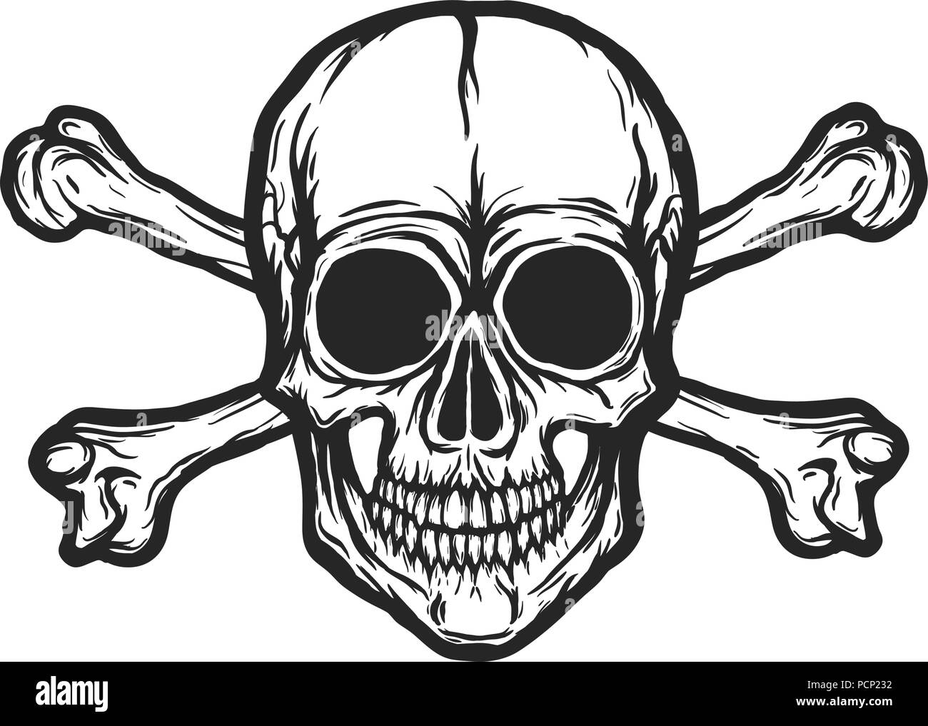 Human skull vector Stock Vector