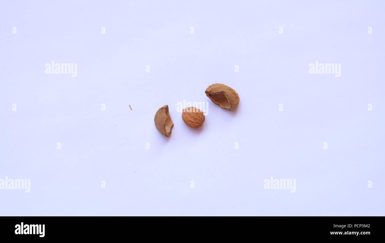 Apricot seed stone with kernel cracked and splited into half Stock Photo