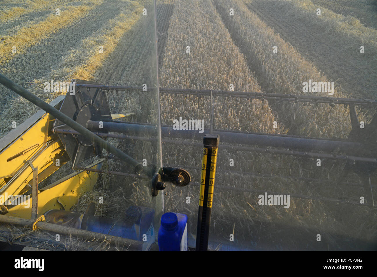 farmers eye view of cutter bar and reel threshing barley on combine harvester in field ellerton