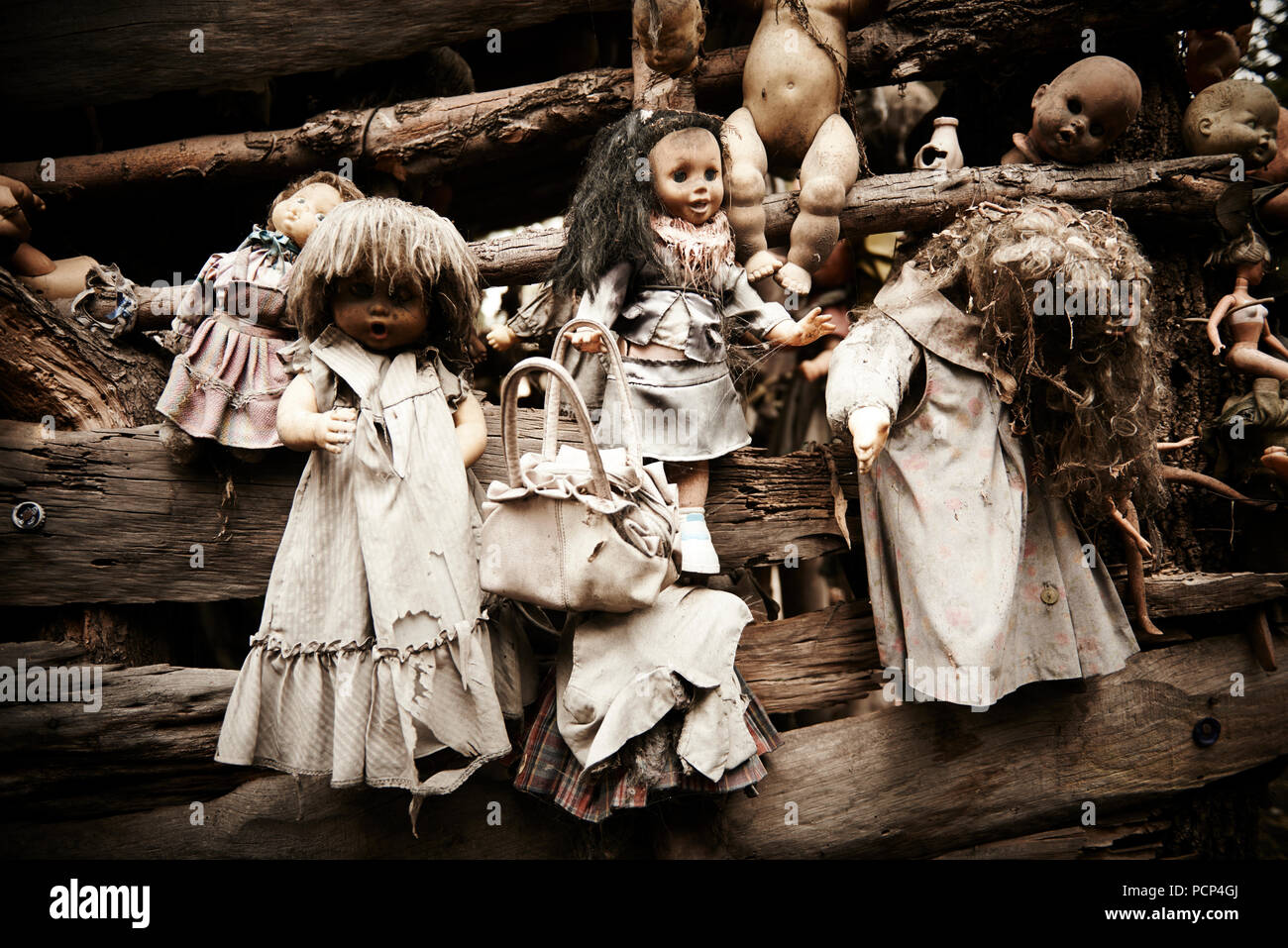 Dolls from La Isla de las Muñecas - The Island of the Dolls, Xochimilco  Mexico Stock Photo - Alamy