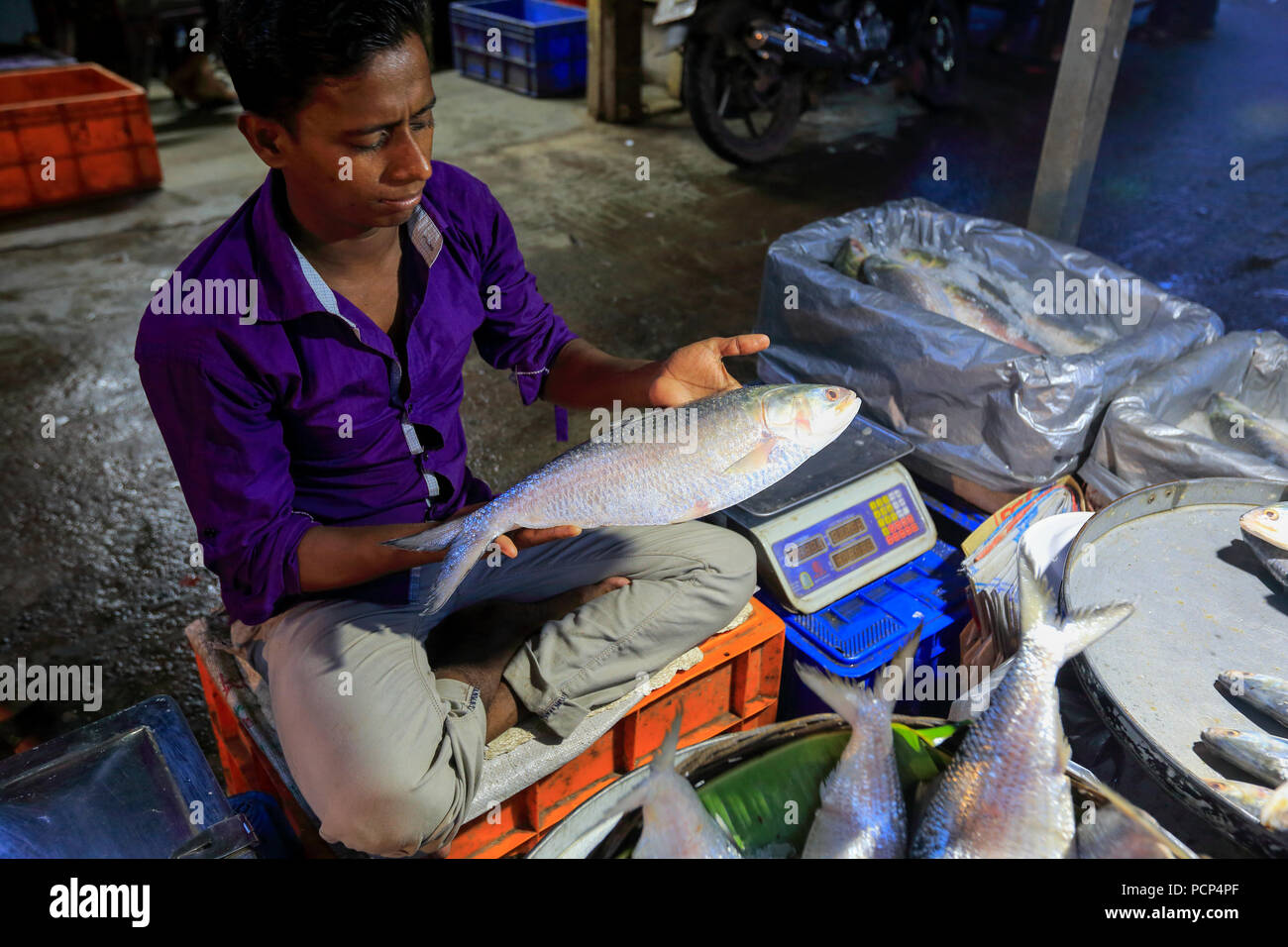 A seller holds a giant hilsa fish at a market in Barisal, Bangladesh. Stock Photo
