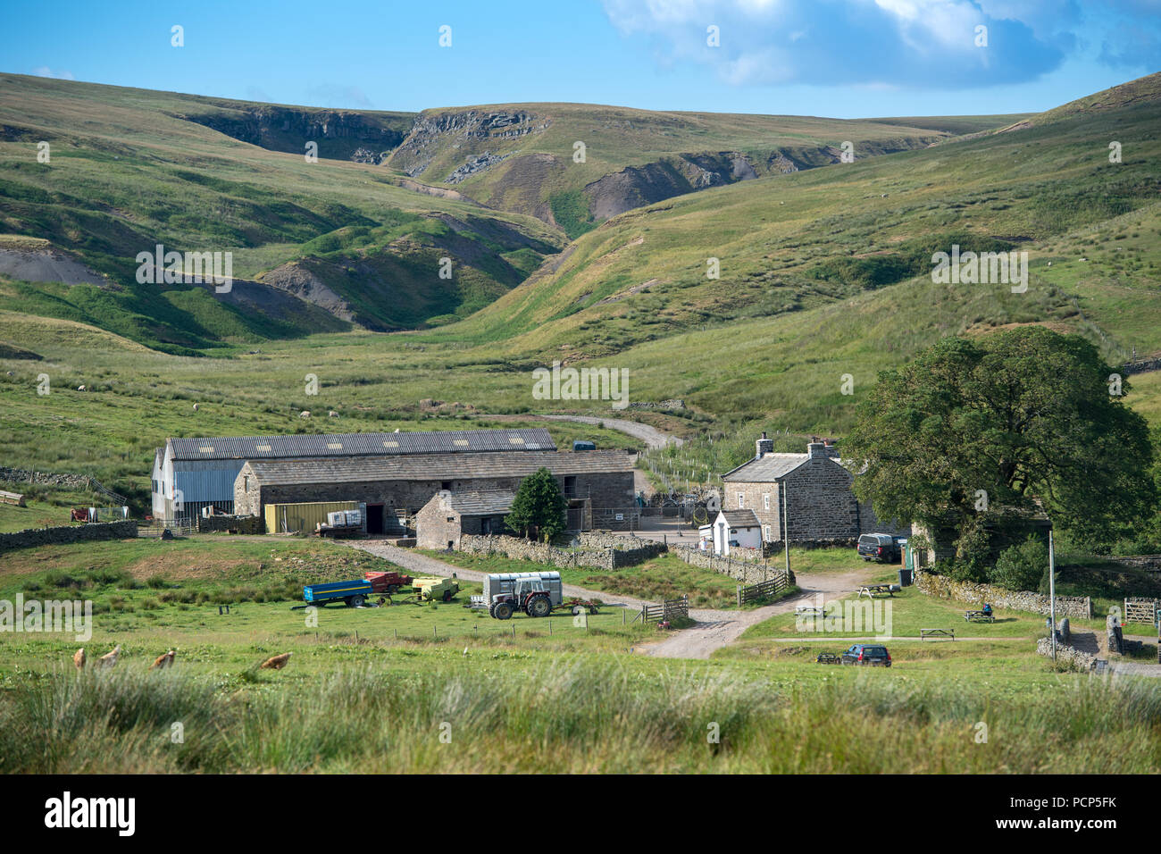 Ravenseat, a remote hill farm at the top end of Swaledale, Yorkshire Dales National Park, UK. Stock Photo