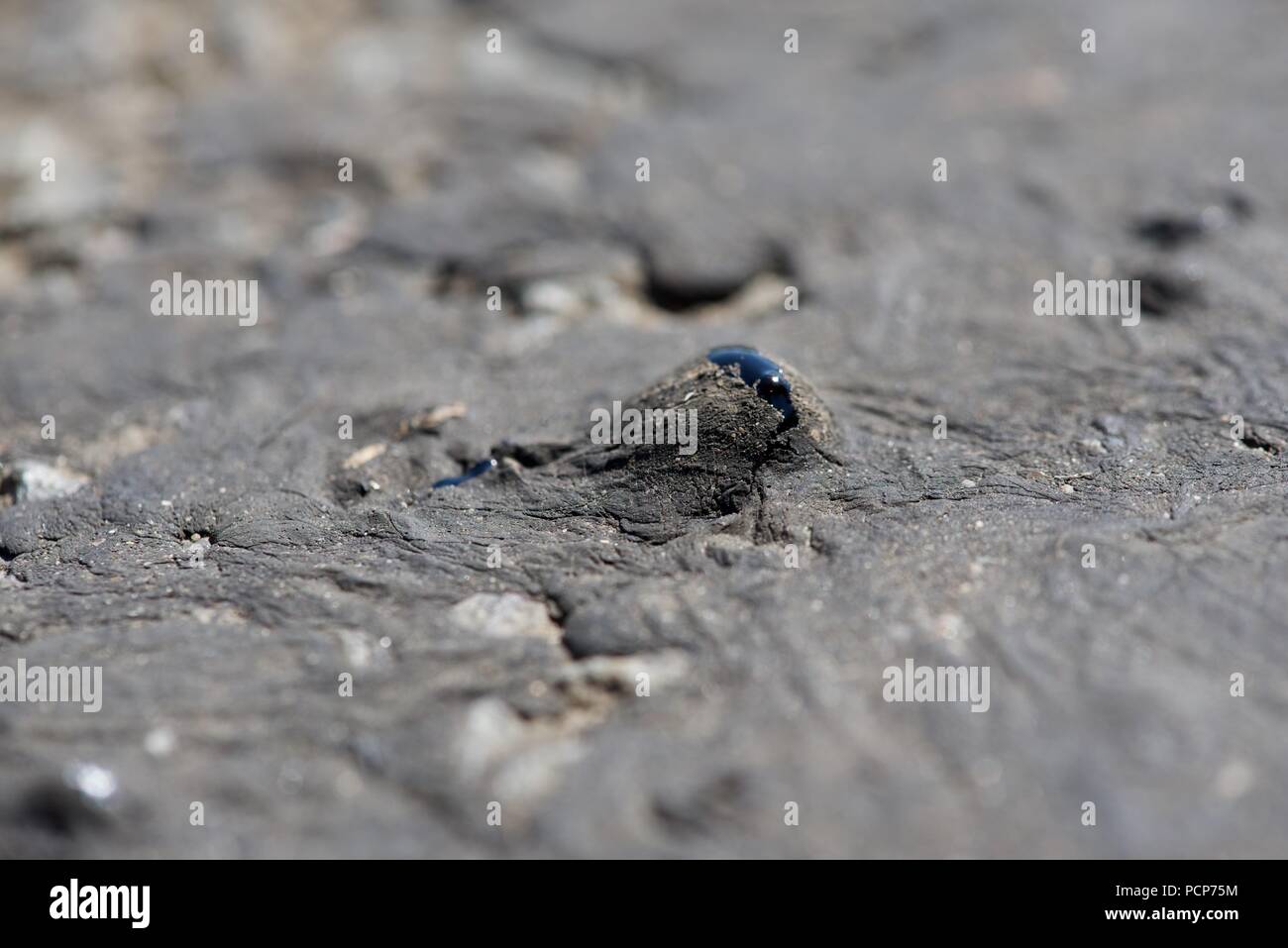 Heatwave rising temperatures melt the tar macadam surface of the road leaving tyre, and boot