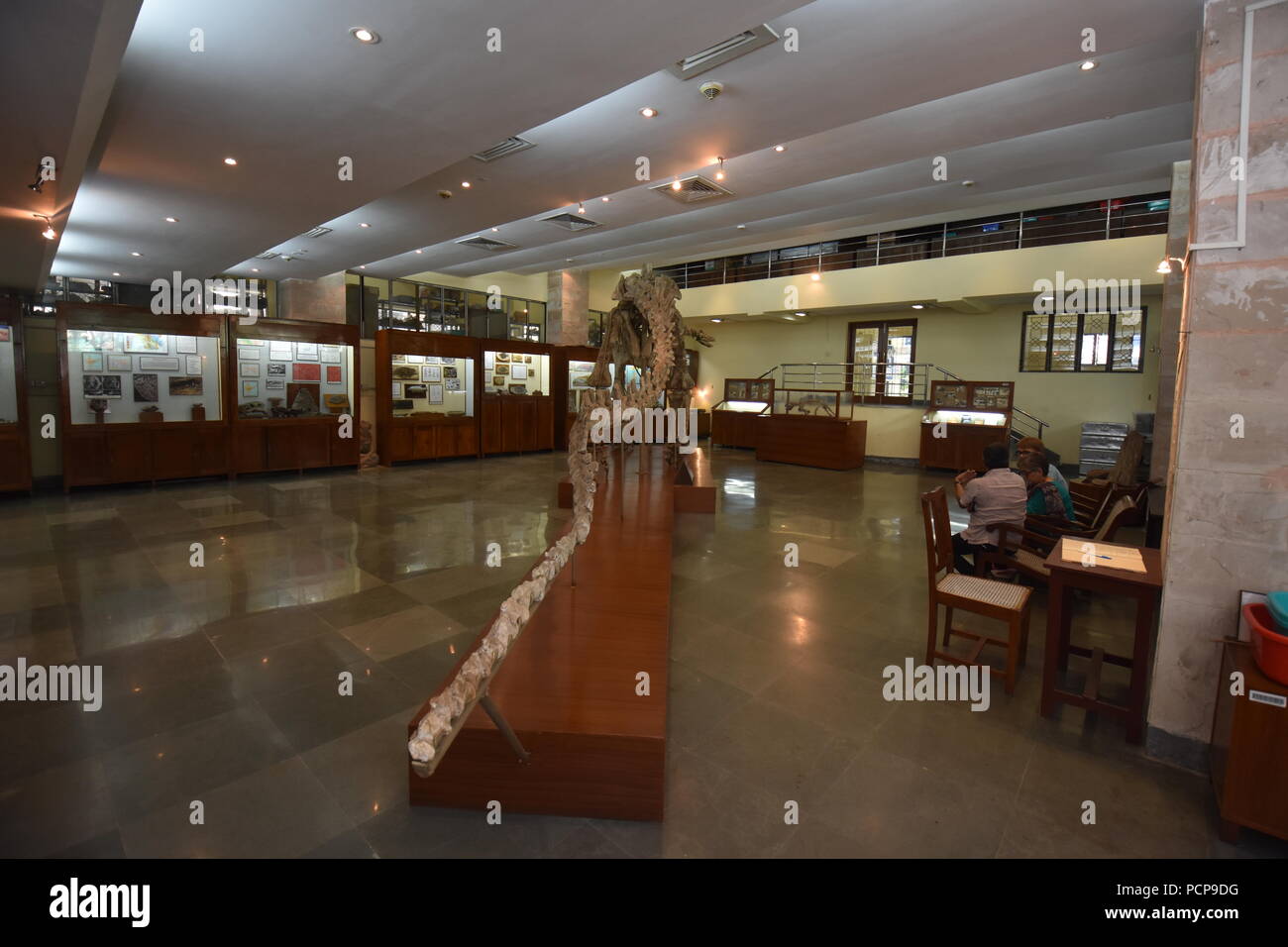 Geology museum interior, ISI, Kolkata Stock Photo