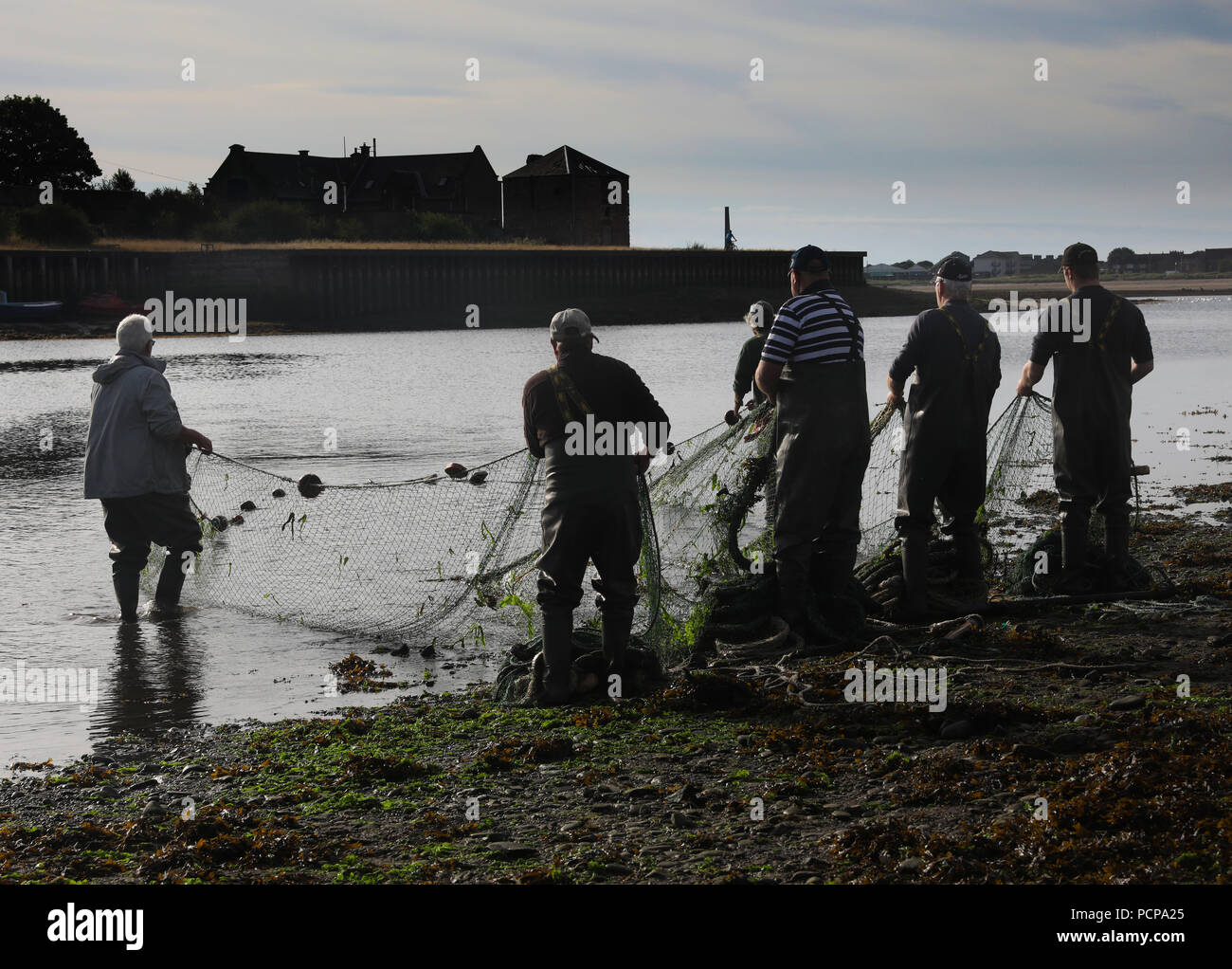 Traditional salmon fishermen at Gardo fishery on the River Tweed hauling in their net, Berwick upon Tweed Stock Photo
