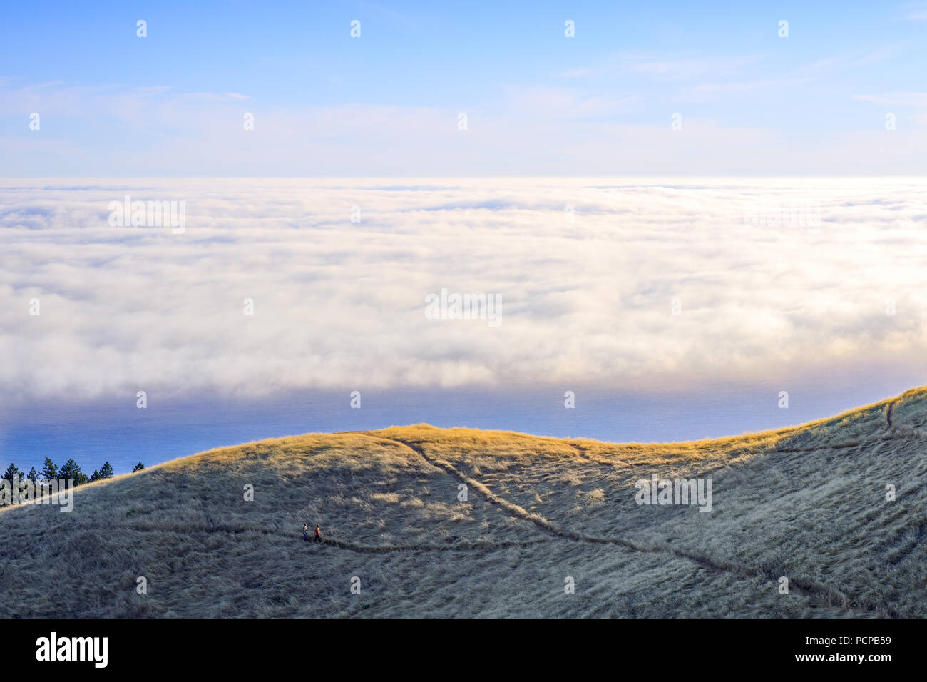 Above the clouds in Mount Tamalpais. Stock Photo