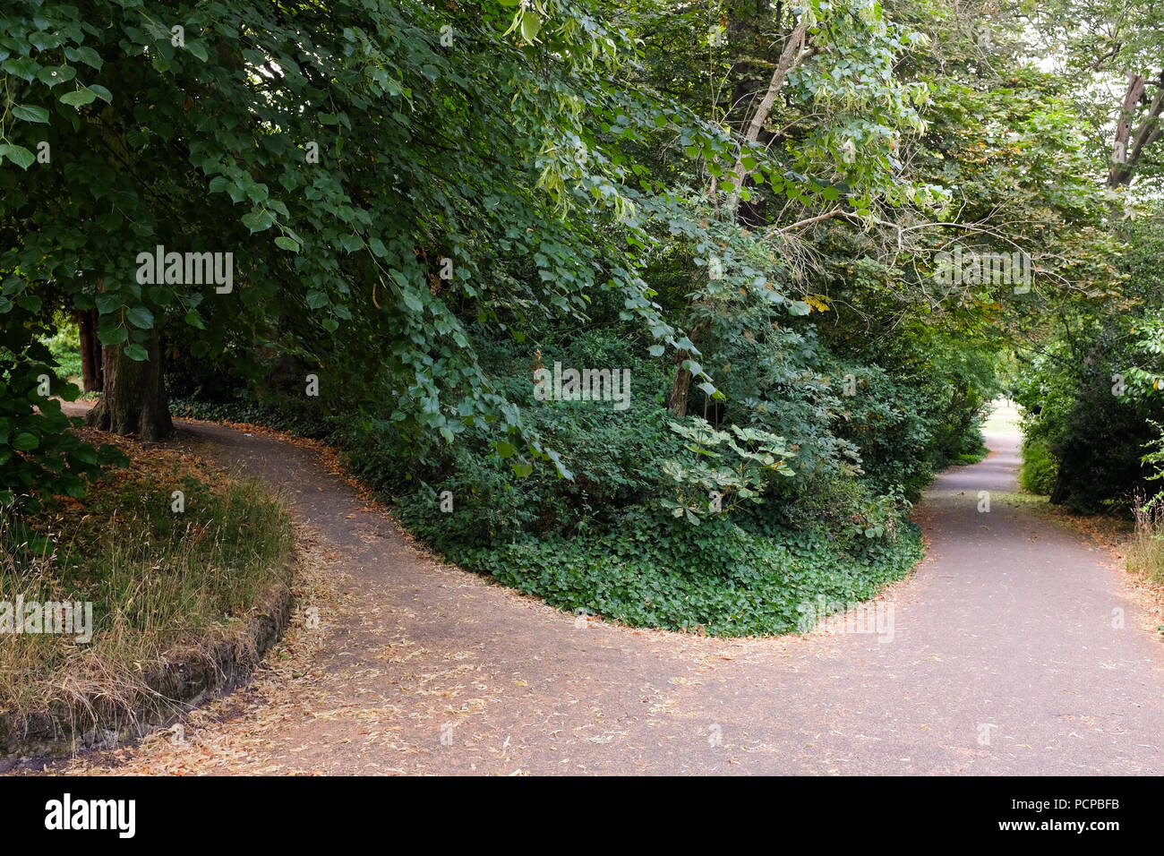 Path paths in different directions hires stock photography and images