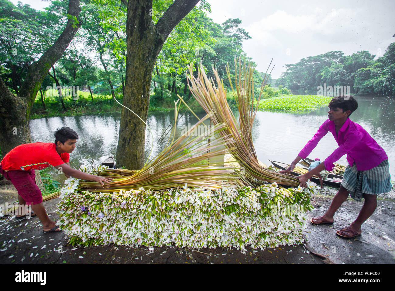 Жапон лесбиянкаларын қараңыз