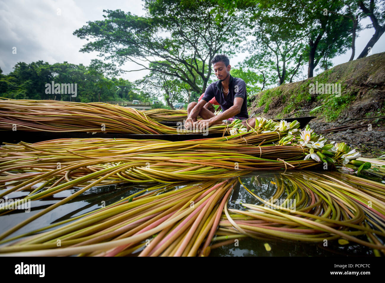 Әйелдер кискаларының жақыннан түсірілген фотосуреттерін қараңыз
