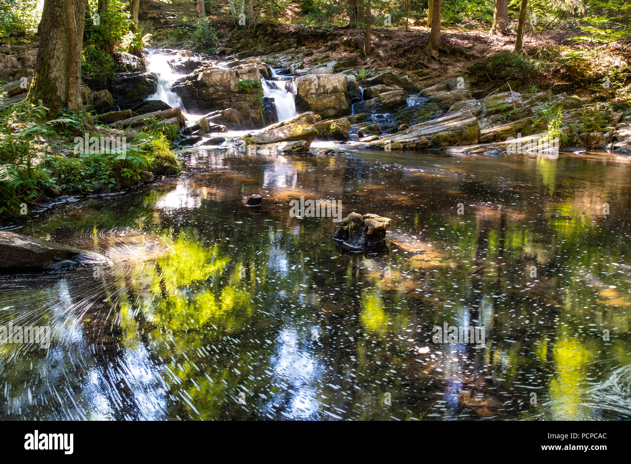 Selketal Harz Selkewasserfall Stock Photo