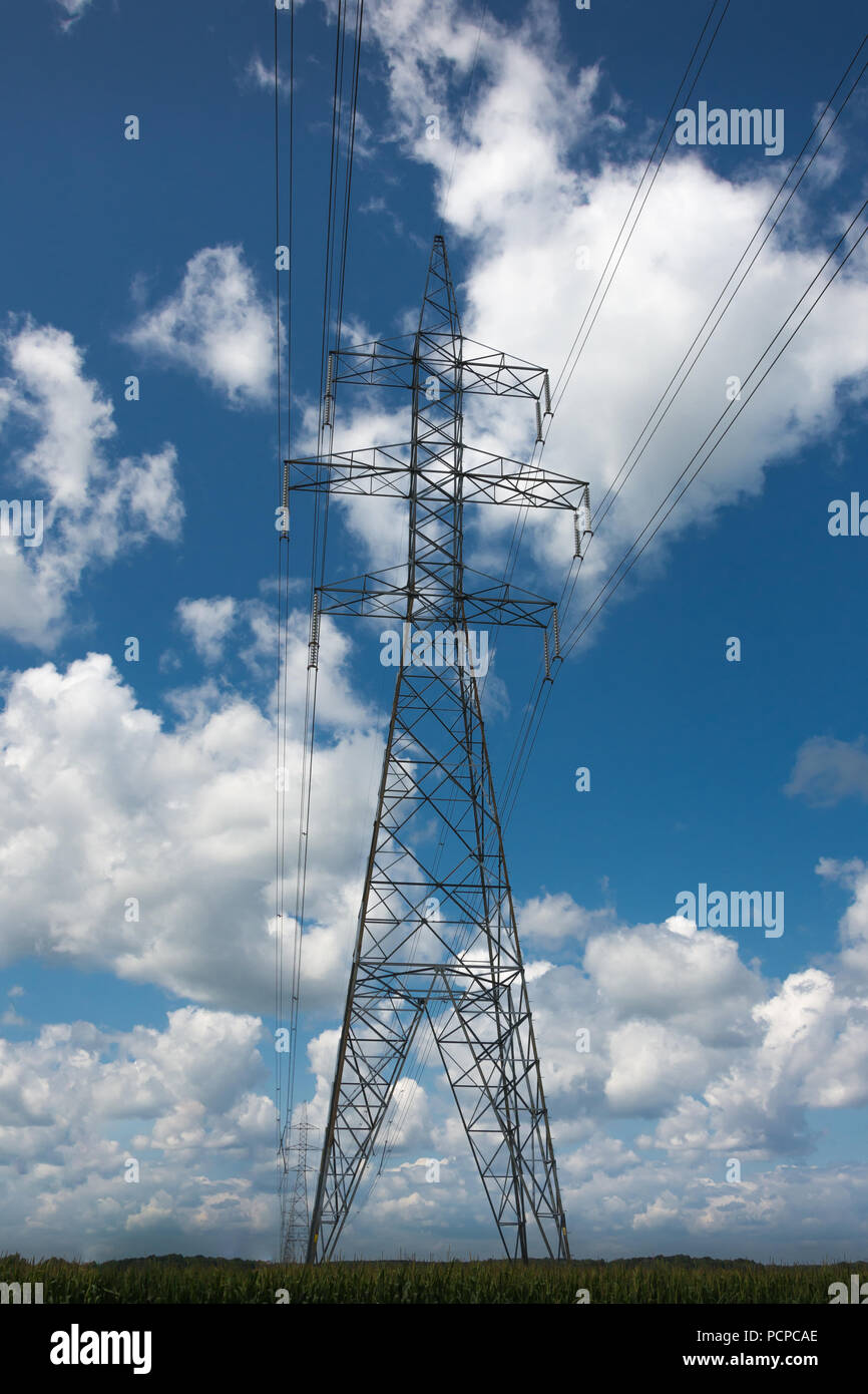 Electrical distribution structure for energy transport Stock Photo