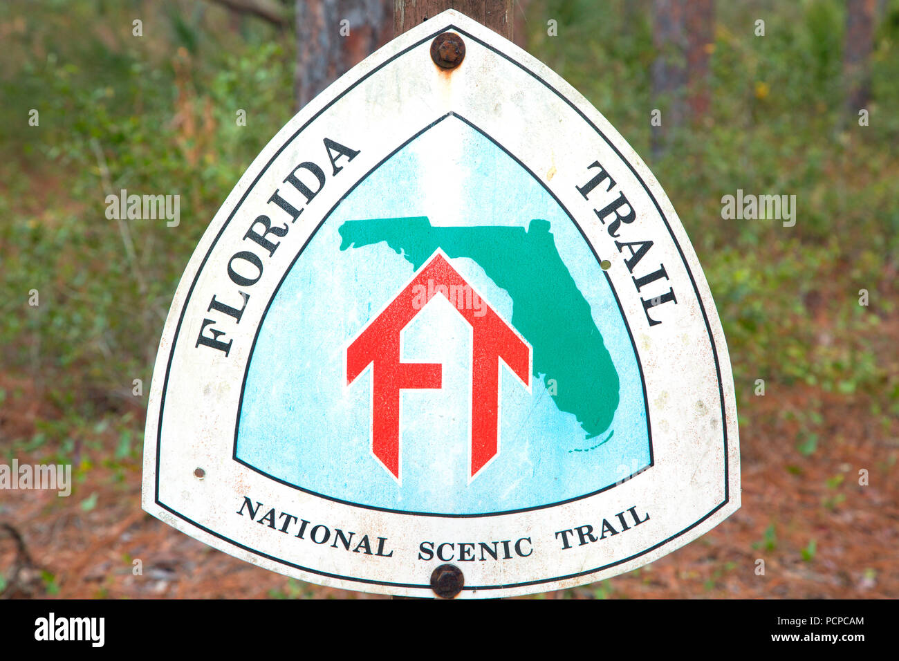 Florida National Scenic Trail sign, Ocala National Forest,  Florida Stock Photo