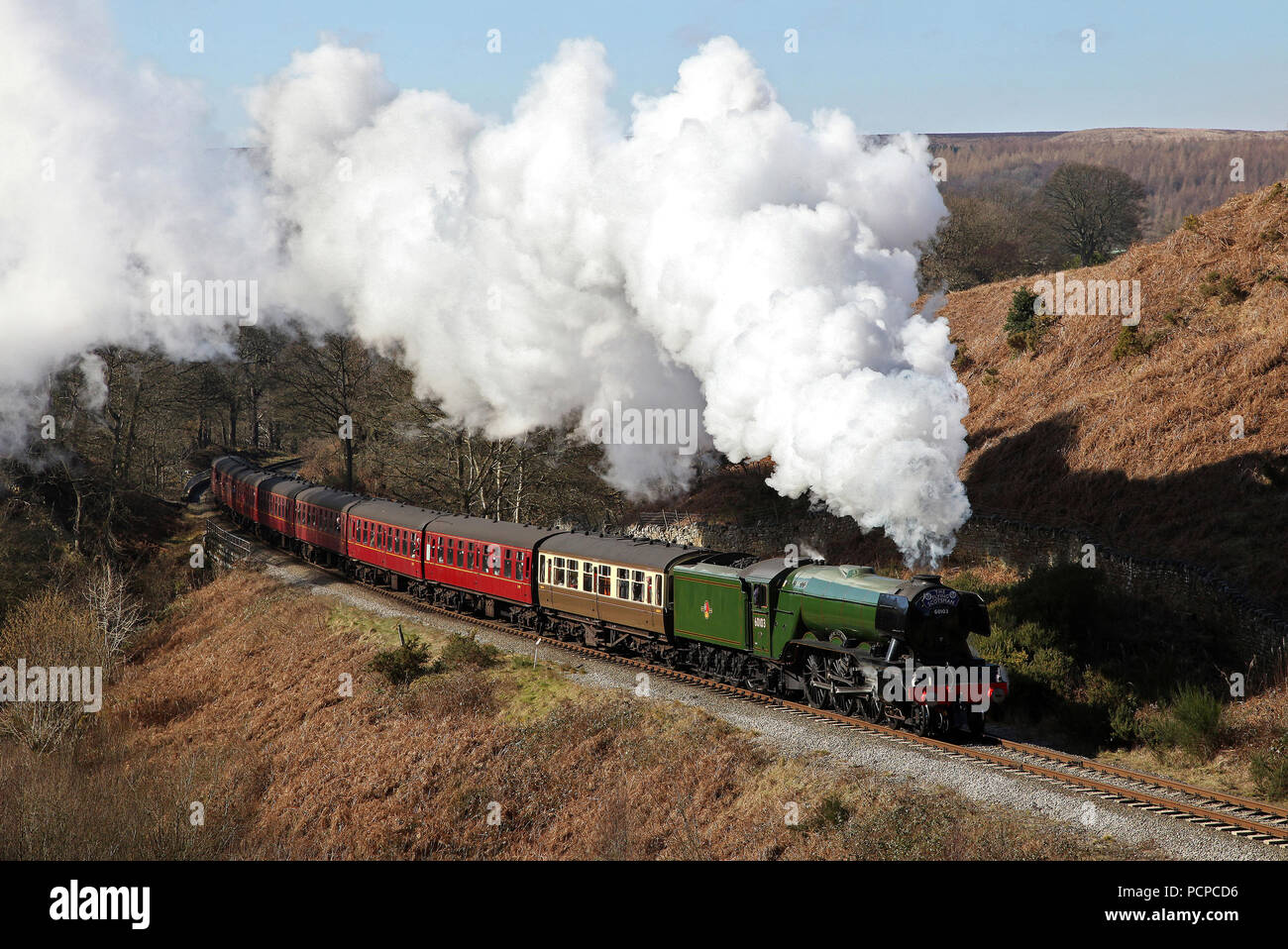 60103 Flying Scotsman heads past Thomason Foss on 17.3.16 with the 12.30 to Pickering on the NYMR. Stock Photo