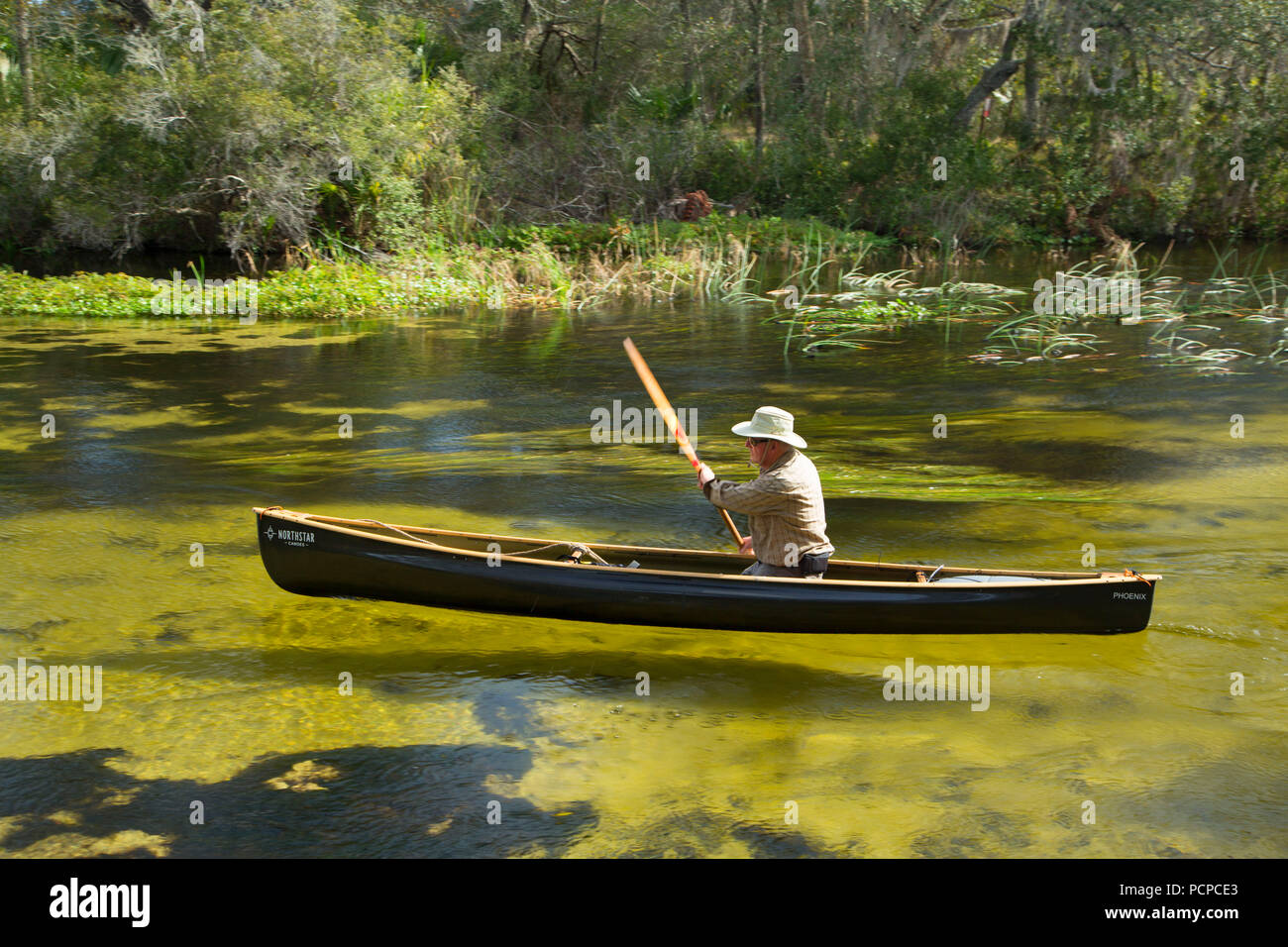 Canoeing on Juniper Creek, Ocala National Forest,  Florida Stock Photo