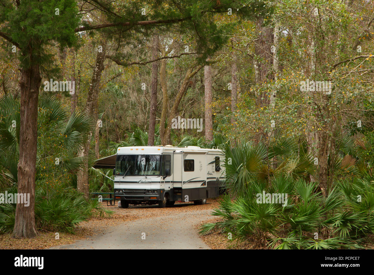 Motorhome at Juniper Springs Campground, Ocala National Forest,  Florida Stock Photo