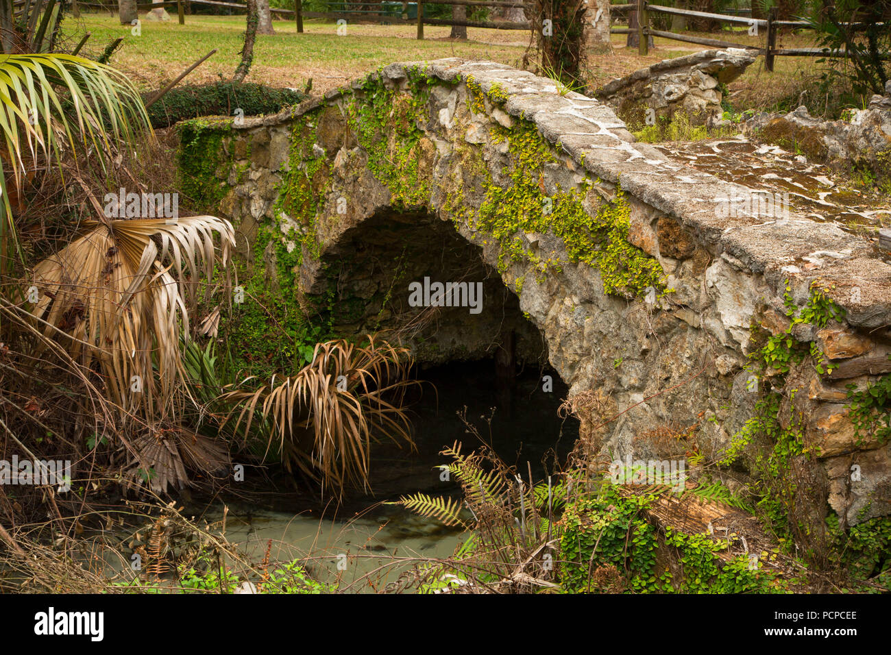 CCC bridge ruin, Ocala National Forest,  Florida Stock Photo