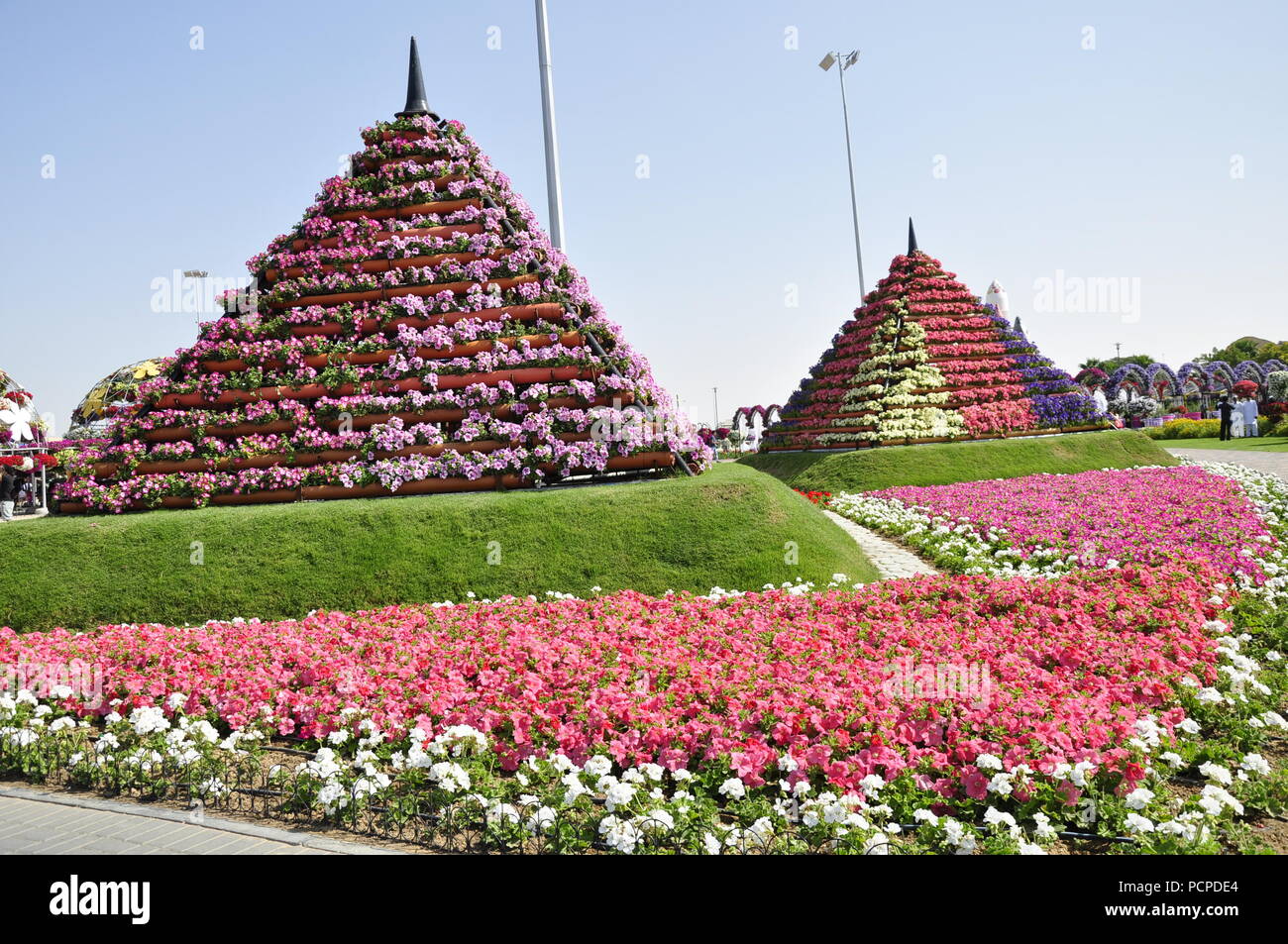Miracle Garden Dubai United Arab Emirates Stock Photo Alamy miracle-garden-dubai-united-arab-emirates-stock-photo-alamy