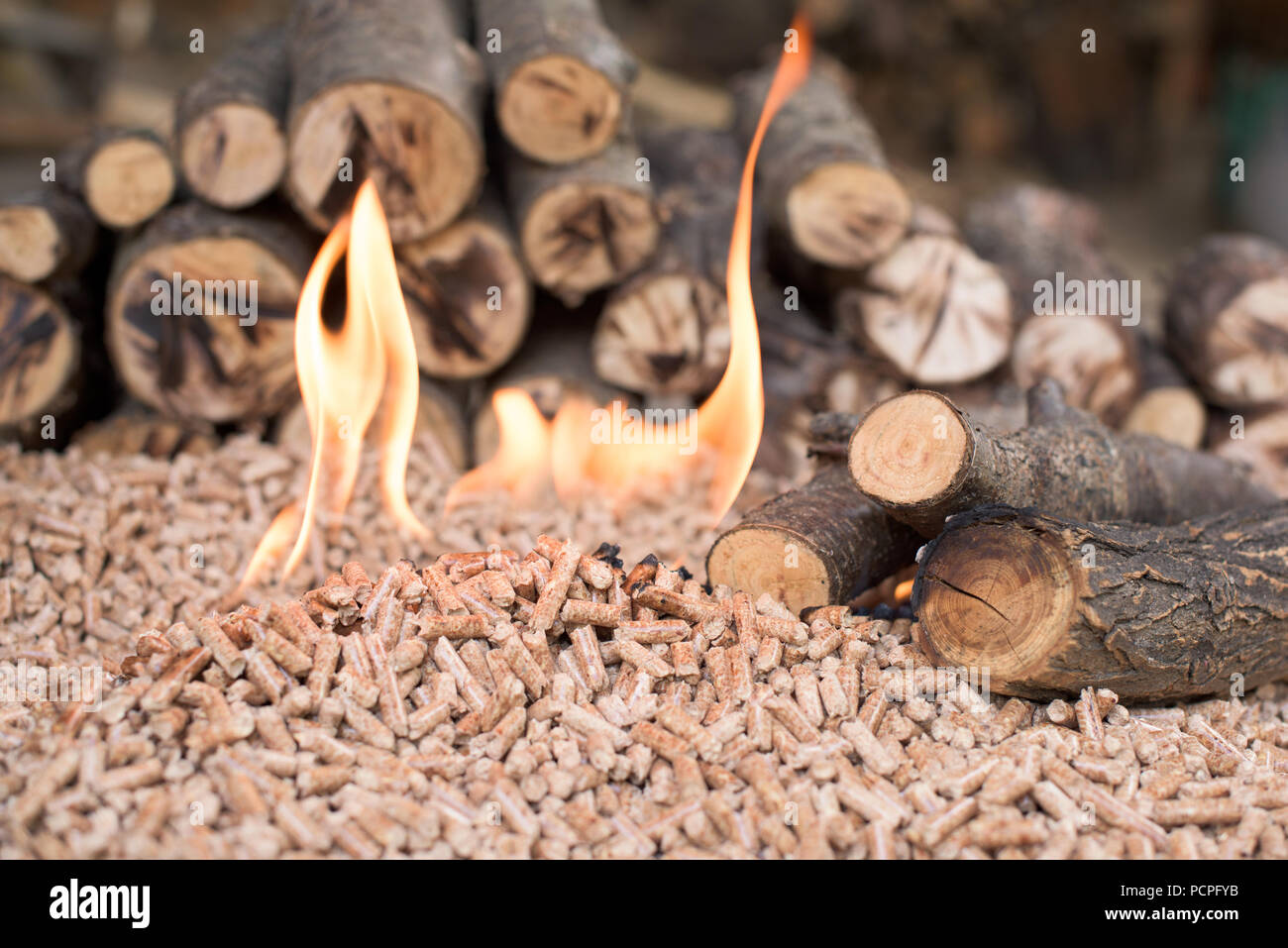Pile of oak pellets and wood in fire Stock Photo