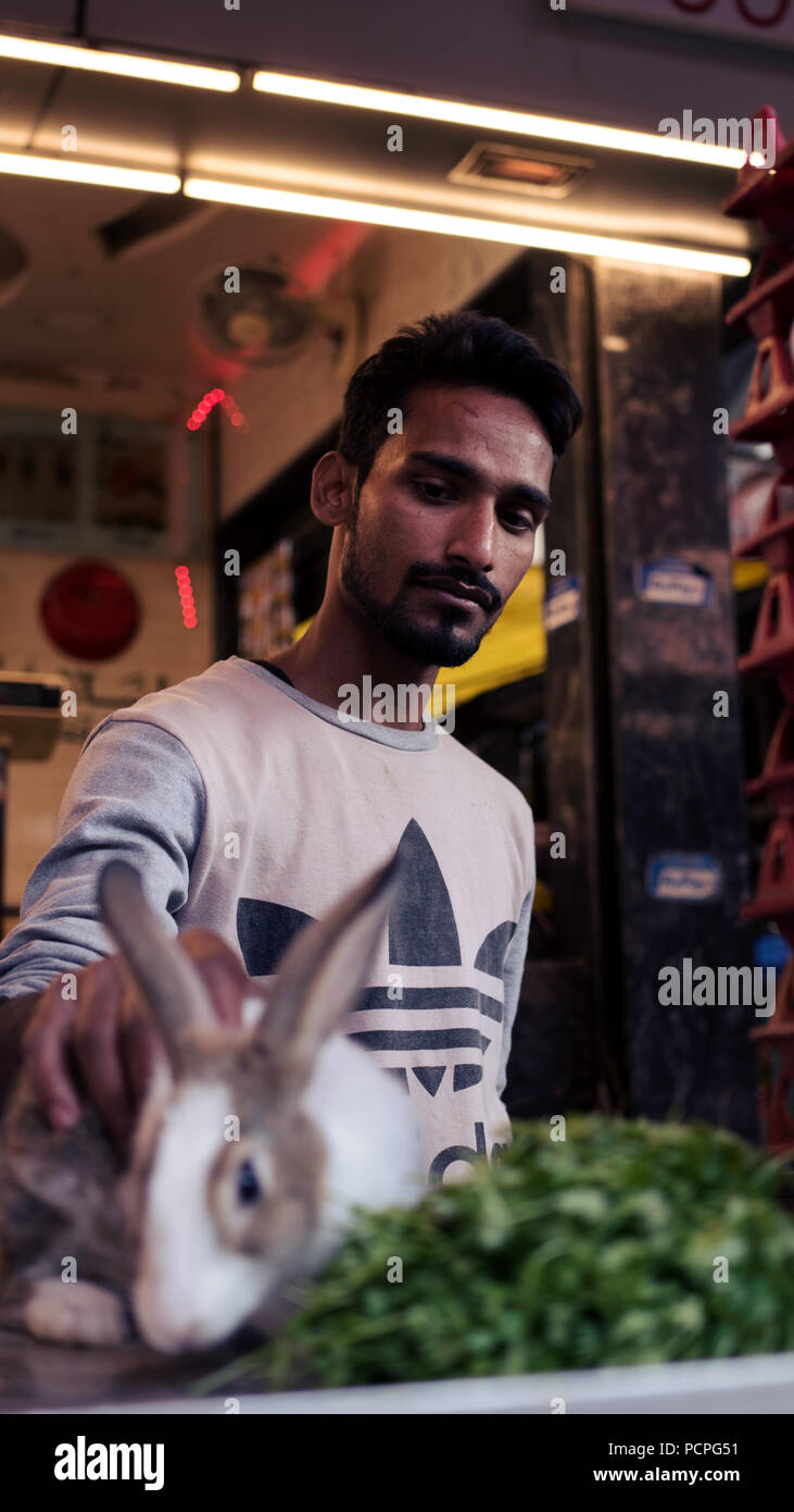 A rabbit is petted at Shivaji Market, Pune Stock Photo