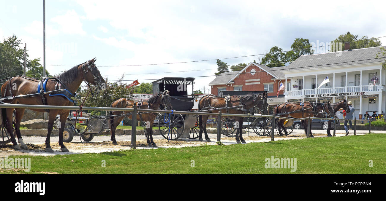 Amish horses and buggies parking area in Mesopotamia Village in Middlefield, Ohio, USA. Stock Photo