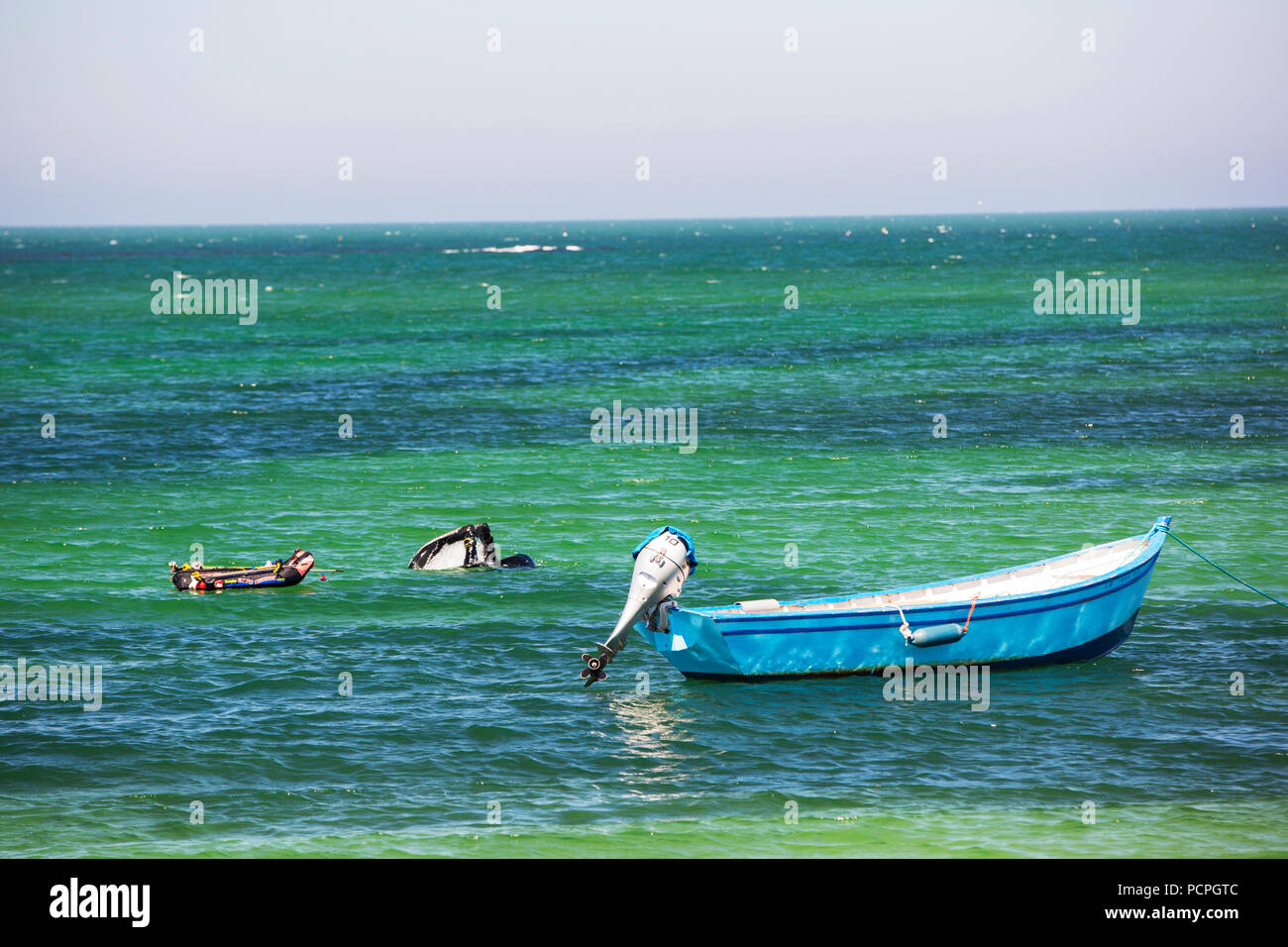 A snorkeller off Barfleur catching diver caught Scallops, Normandy, France Stock Photo Alamy