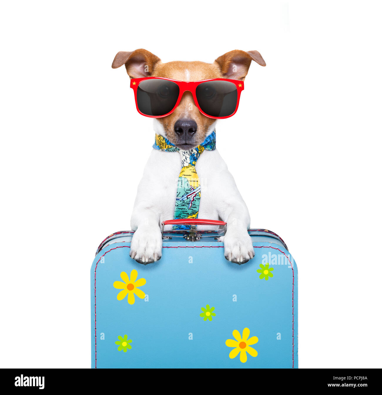 Étiquette à Bagages Humour Chien – I Only Want 2 Dogs – Porte-Bagage Cuir Synthétique