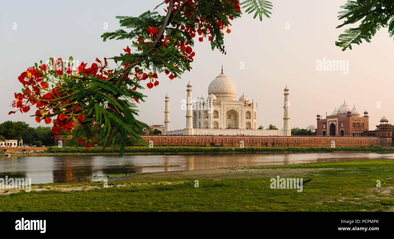 The Taj Mahal Mausoleum in Agra, India, seen from the other bank of the