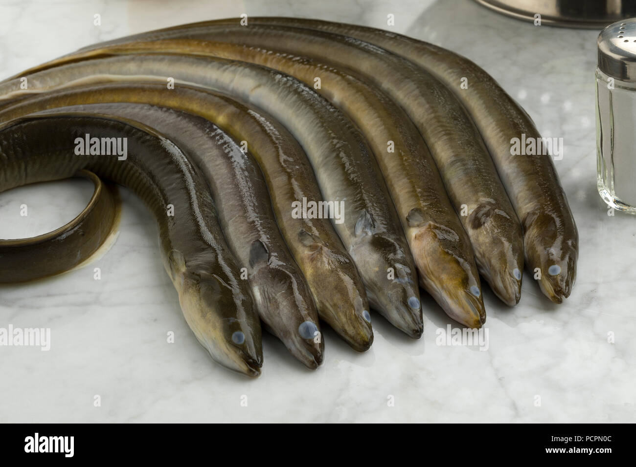 Fresh raw eels in the kitchen ready to cook close up Stock Photo Alamy
