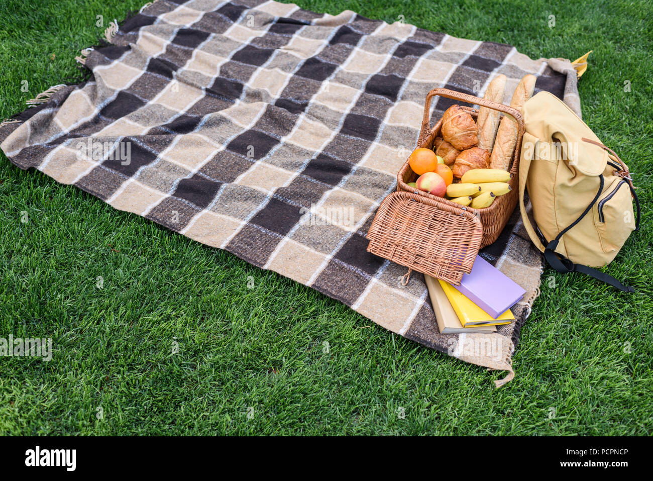picnic basket backpack