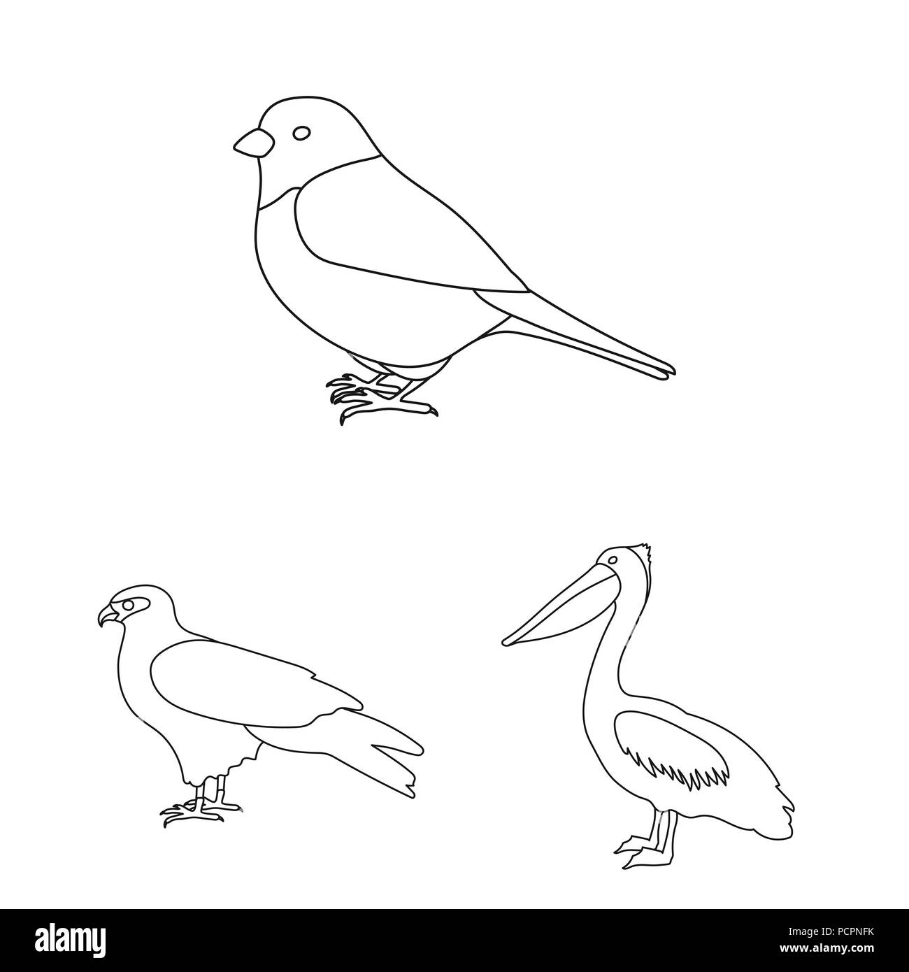 Types of birds outline icons in set collection for design. Home and